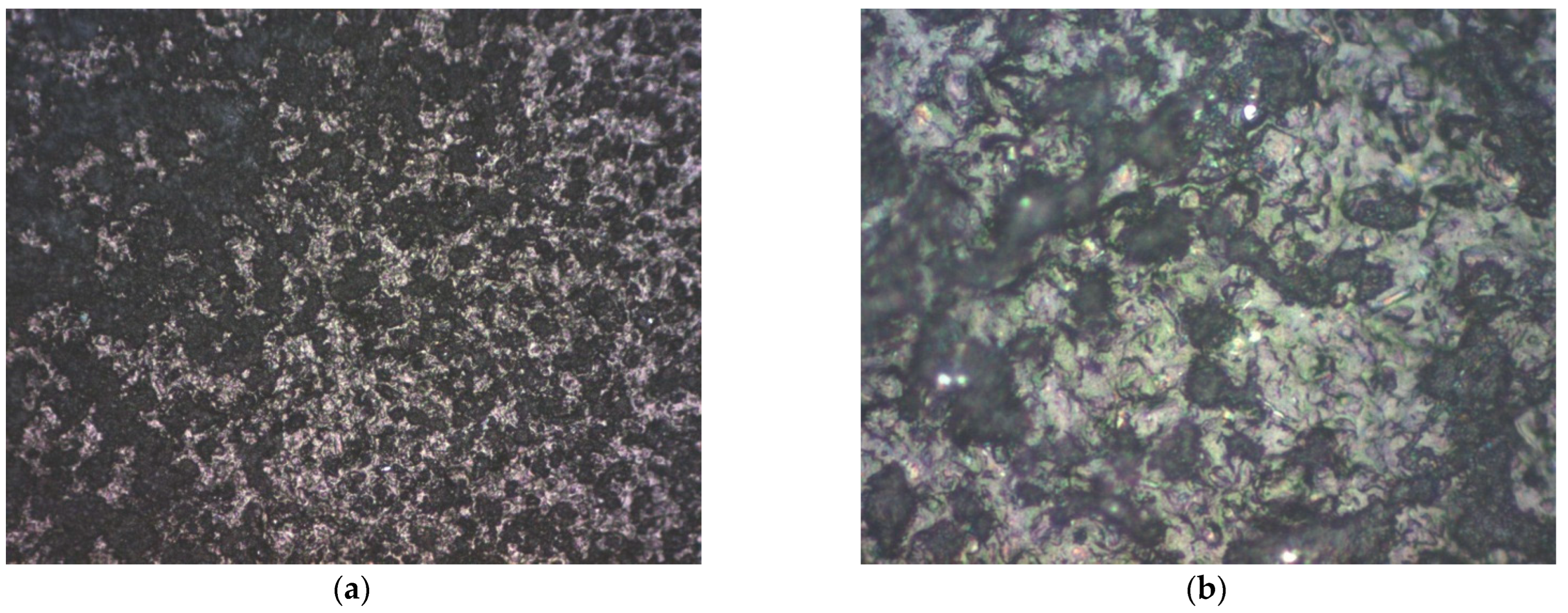 Coatings 15 01420 g007