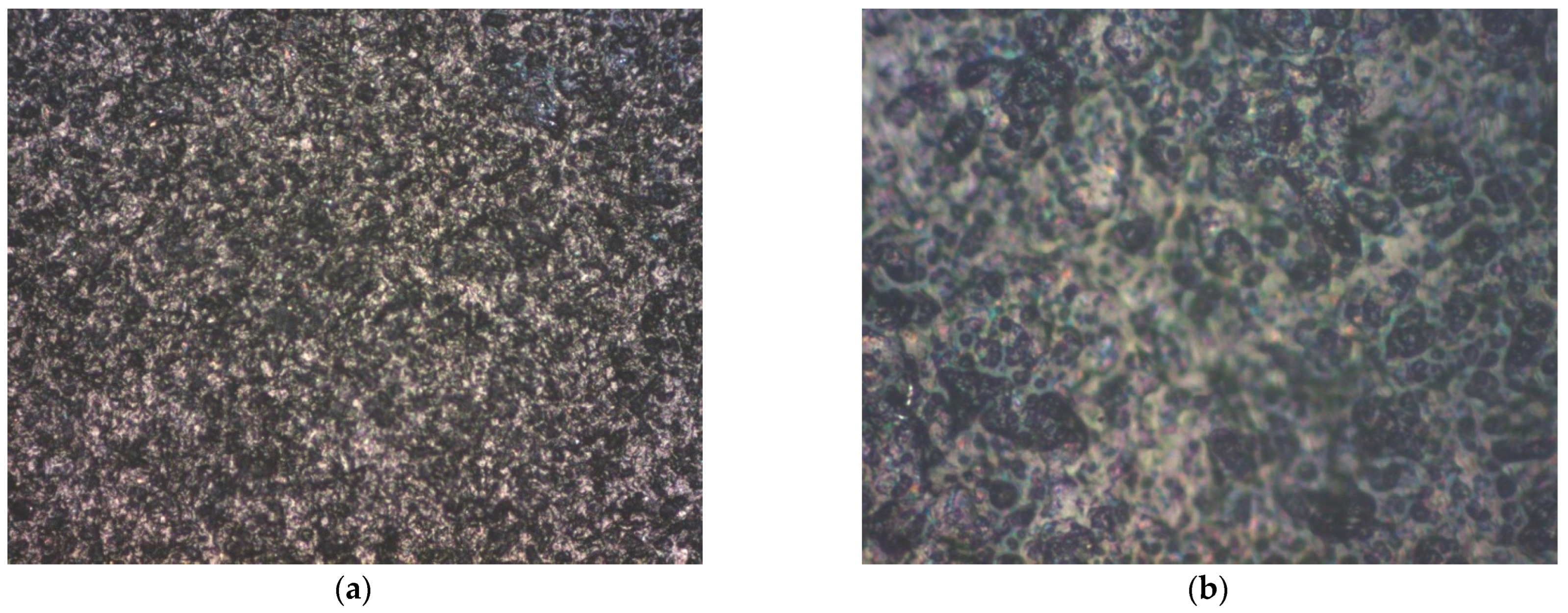 Coatings 15 01420 g008