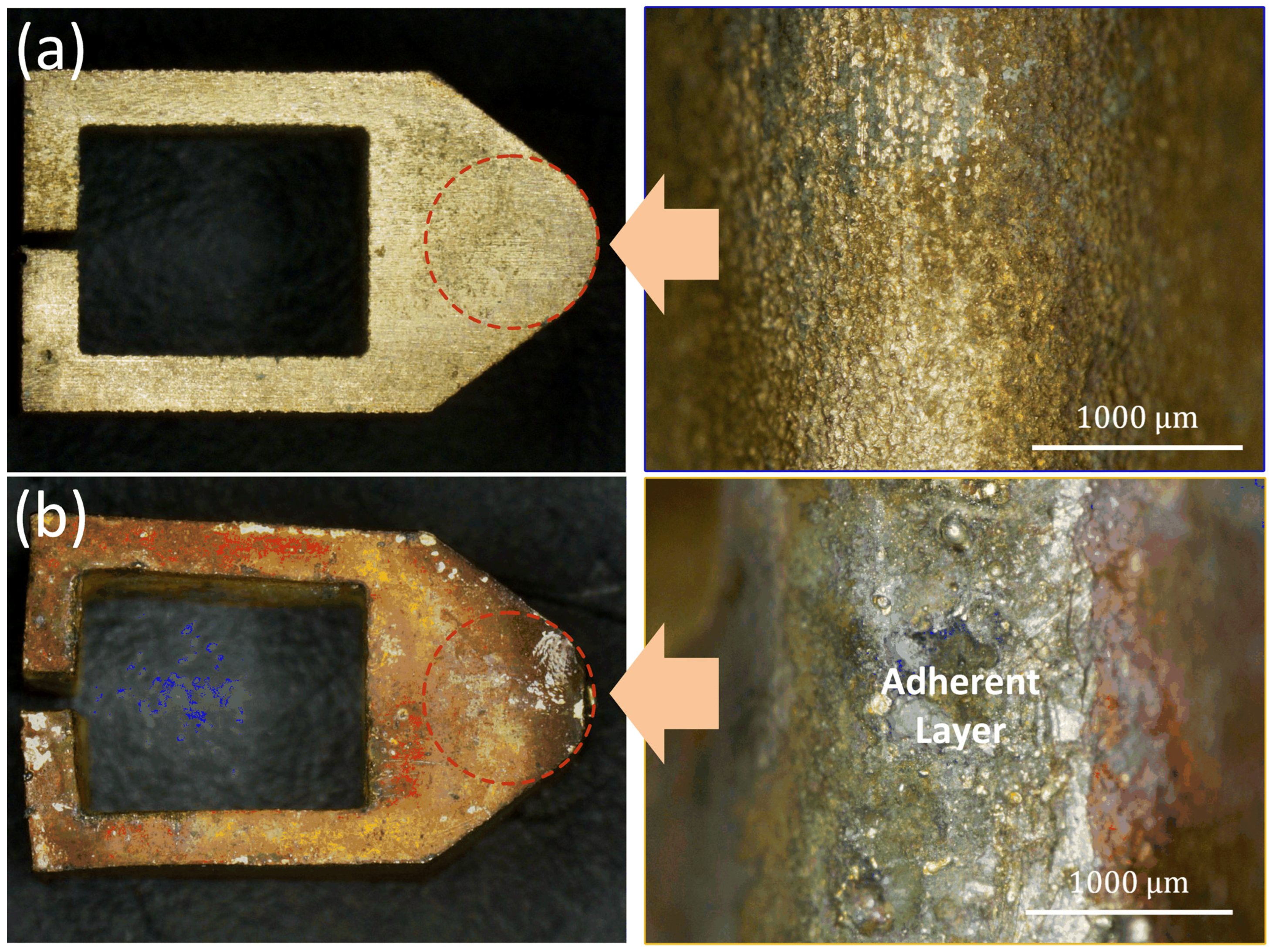 Coatings 15 01426 g004