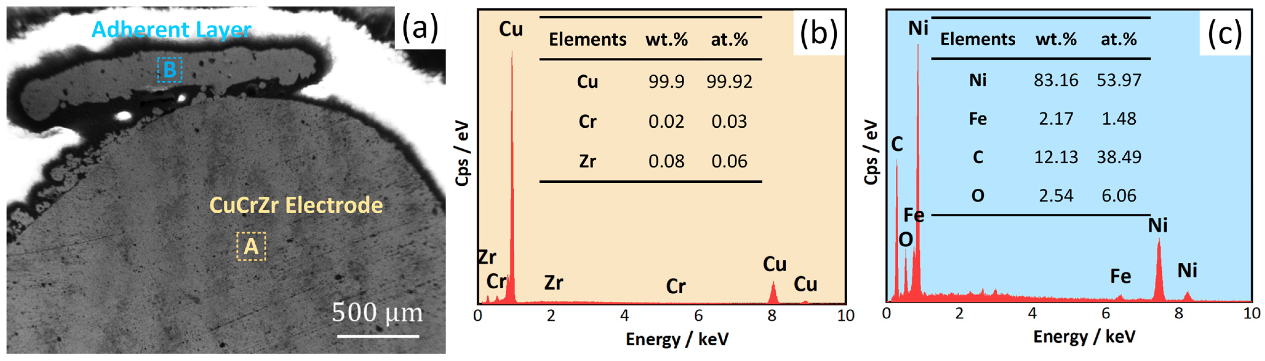 Coatings 15 01426 g005