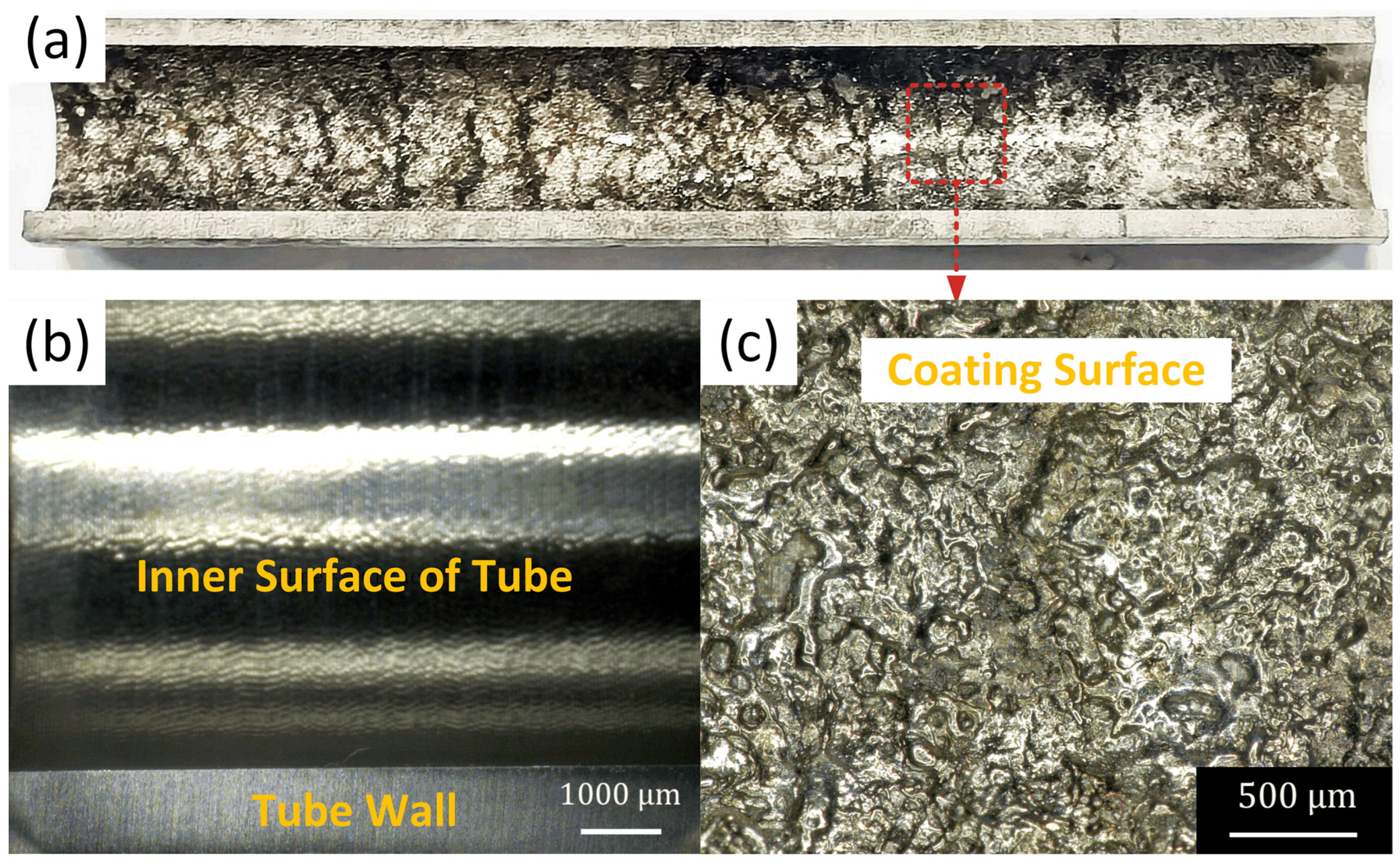 Coatings 15 01426 g006