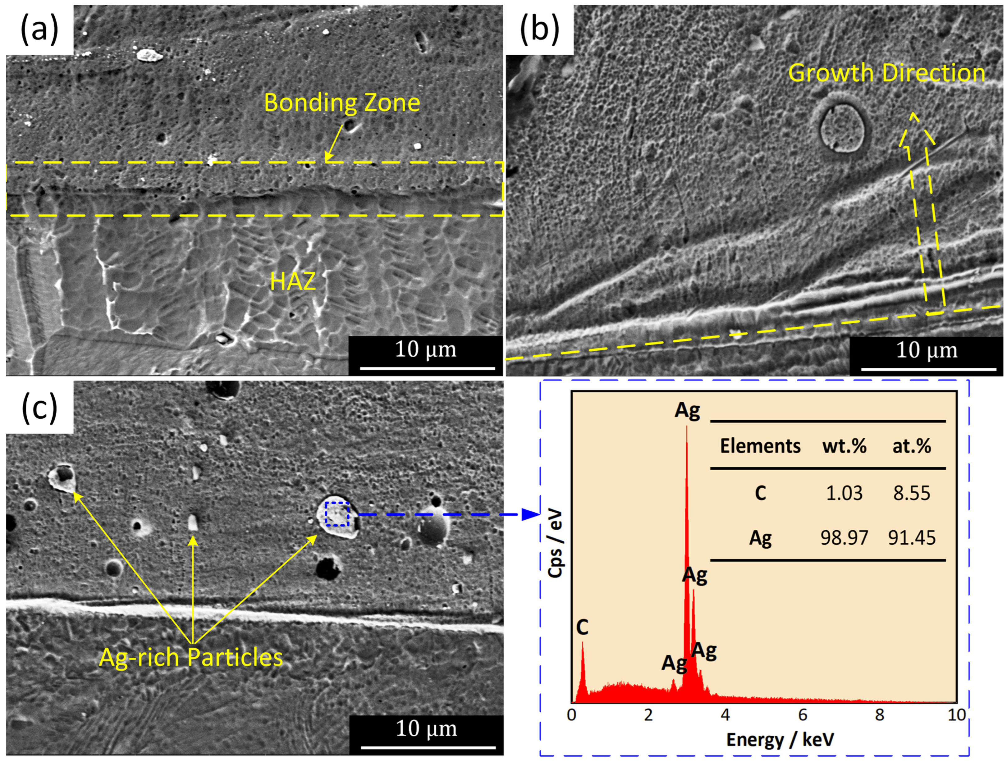Coatings 15 01426 g011