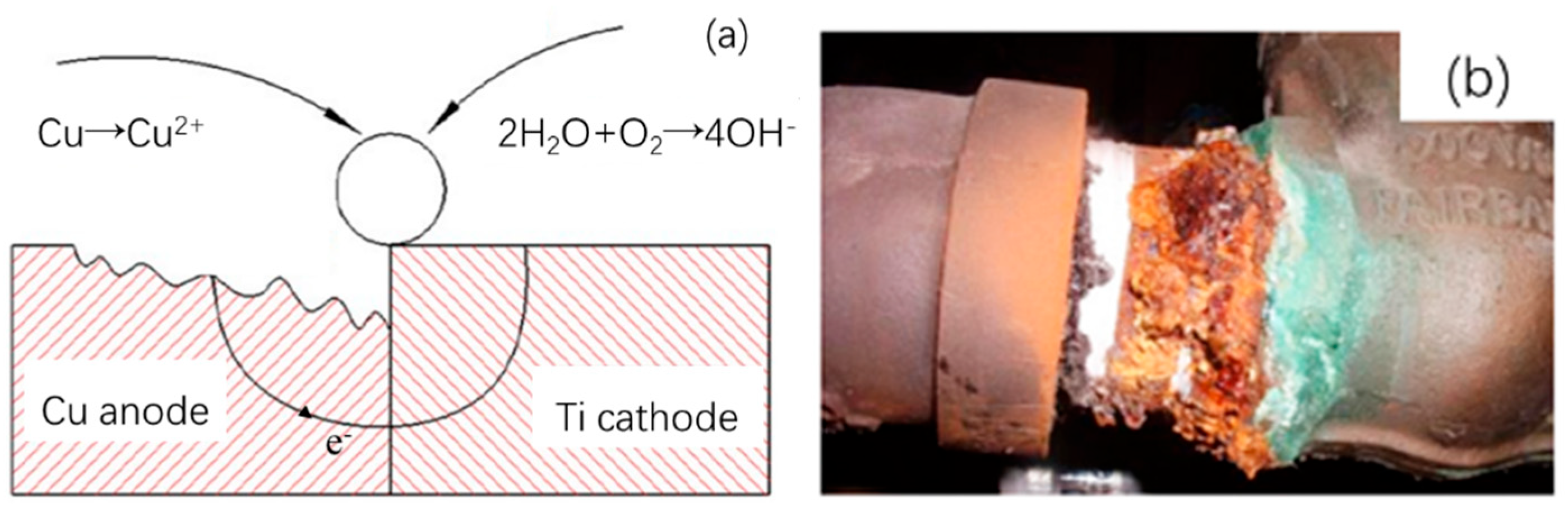 Coatings 15 01433 g001