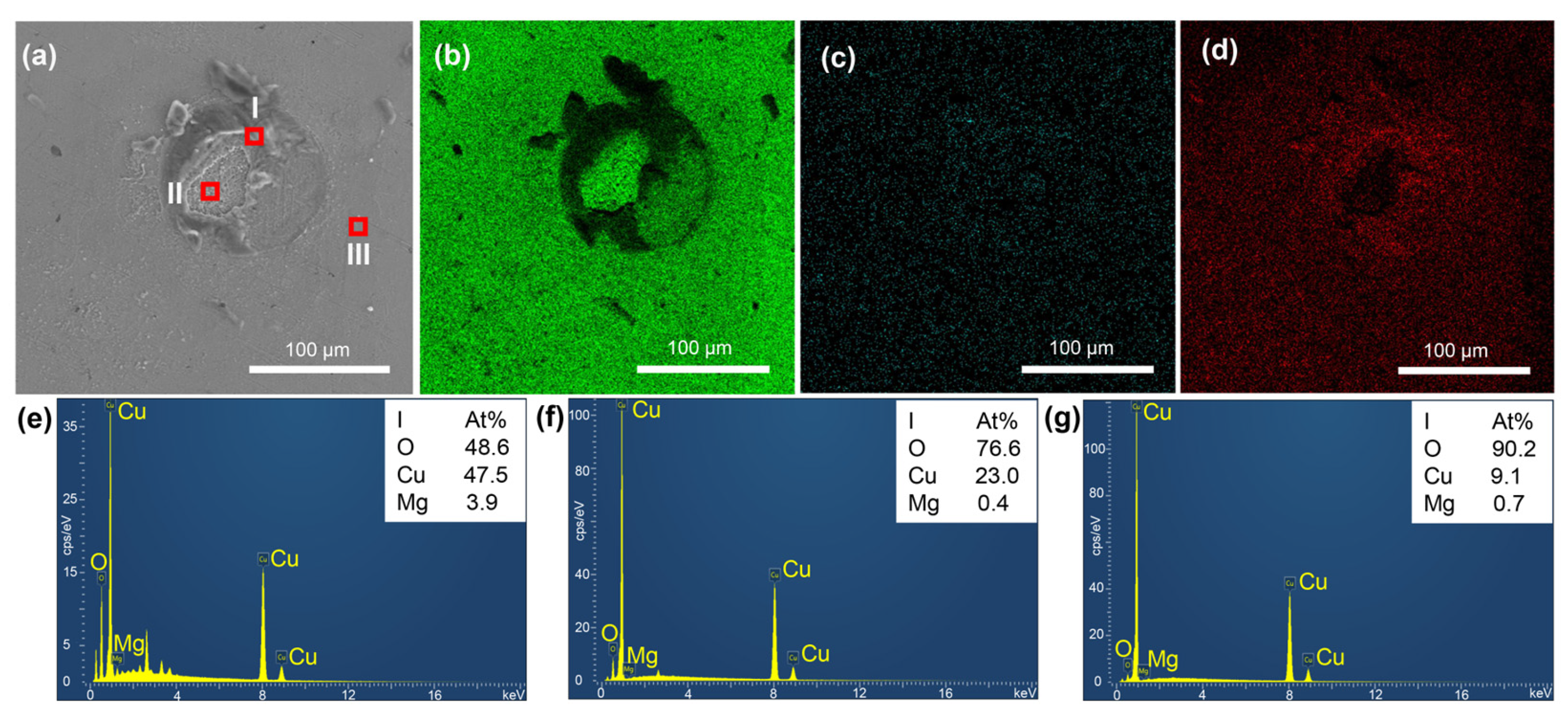 Coatings 15 01435 g005