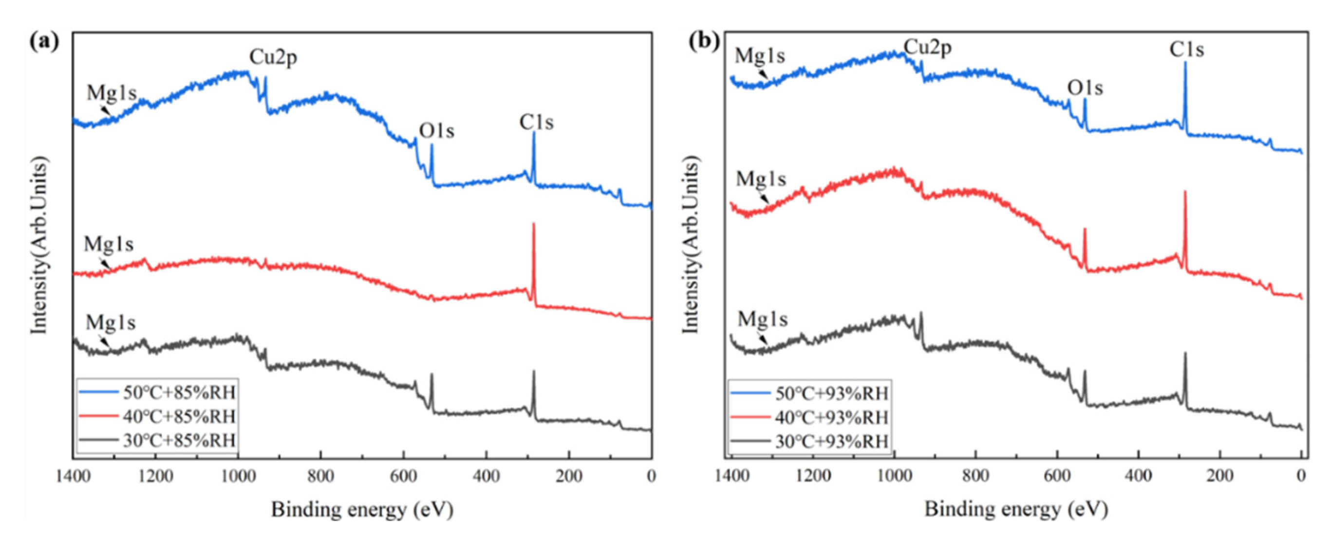Coatings 15 01435 g007