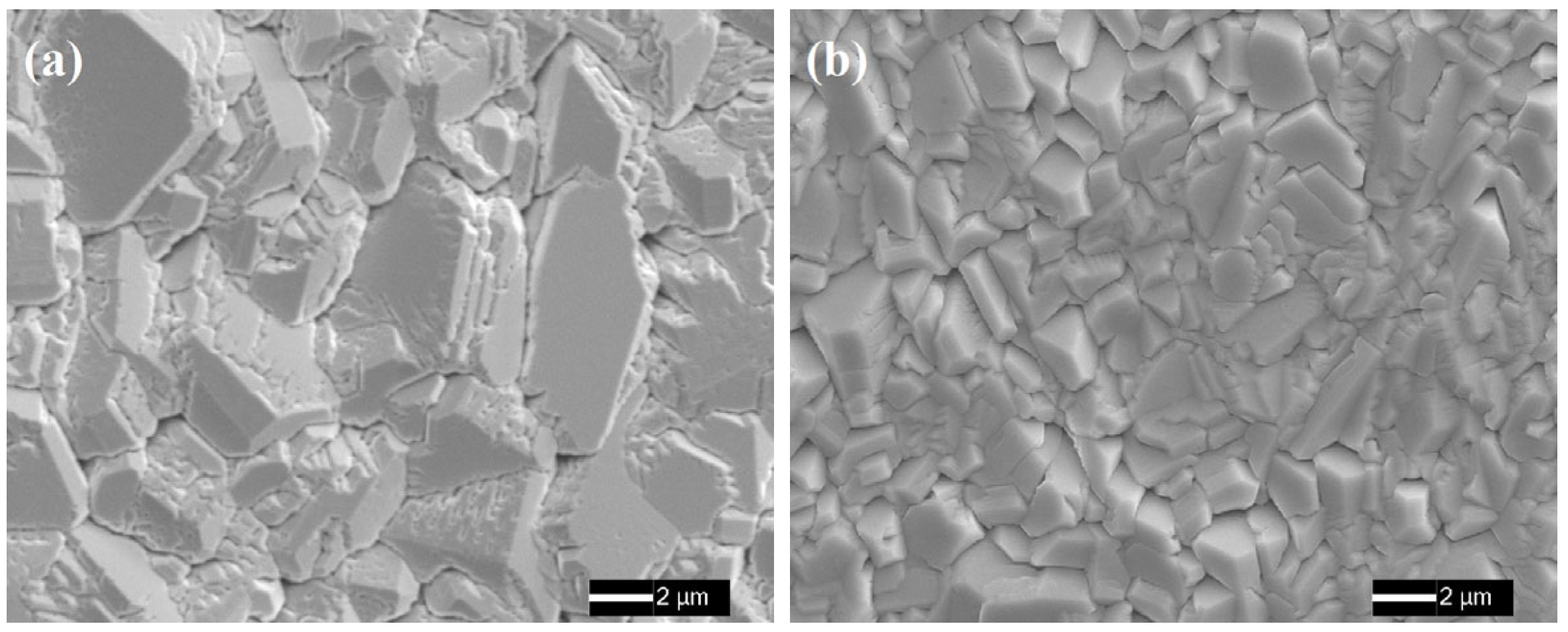 Coatings 15 01436 g001