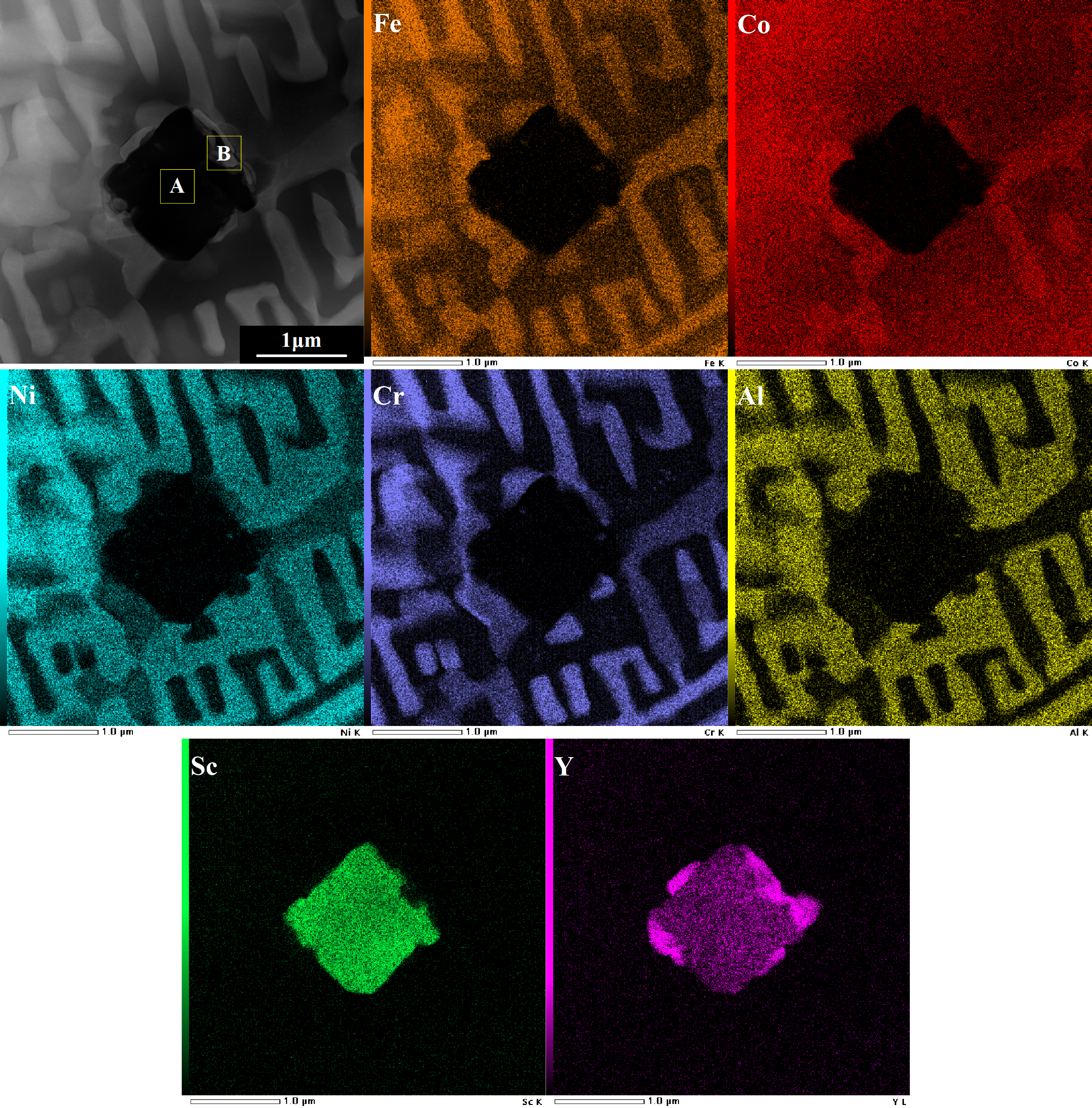 Coatings 15 01436 g005