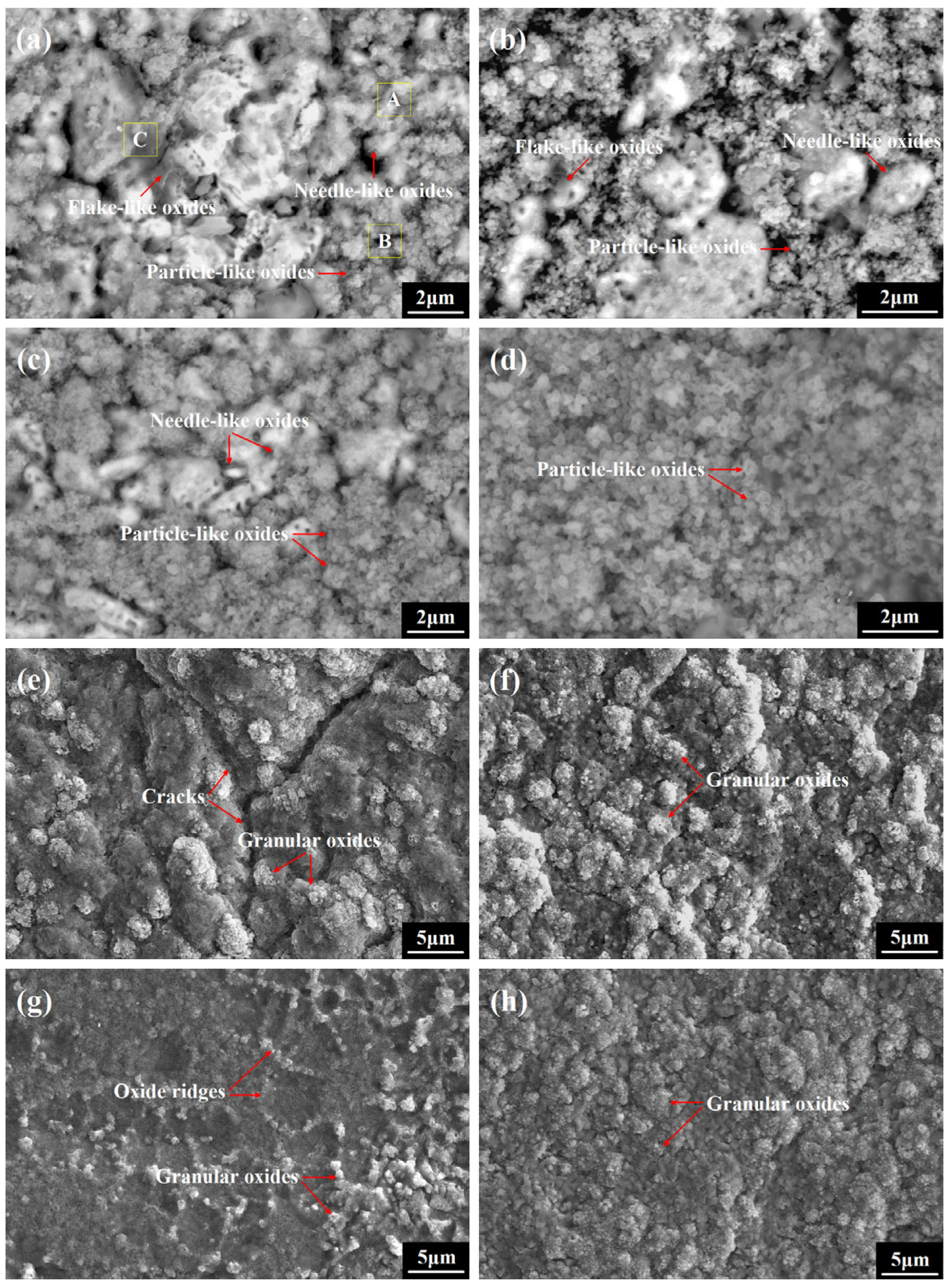 Coatings 15 01436 g007