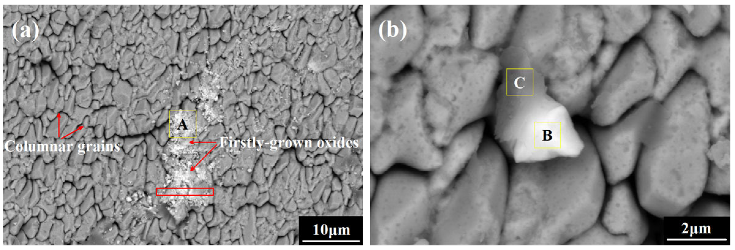 Coatings 15 01436 g008
