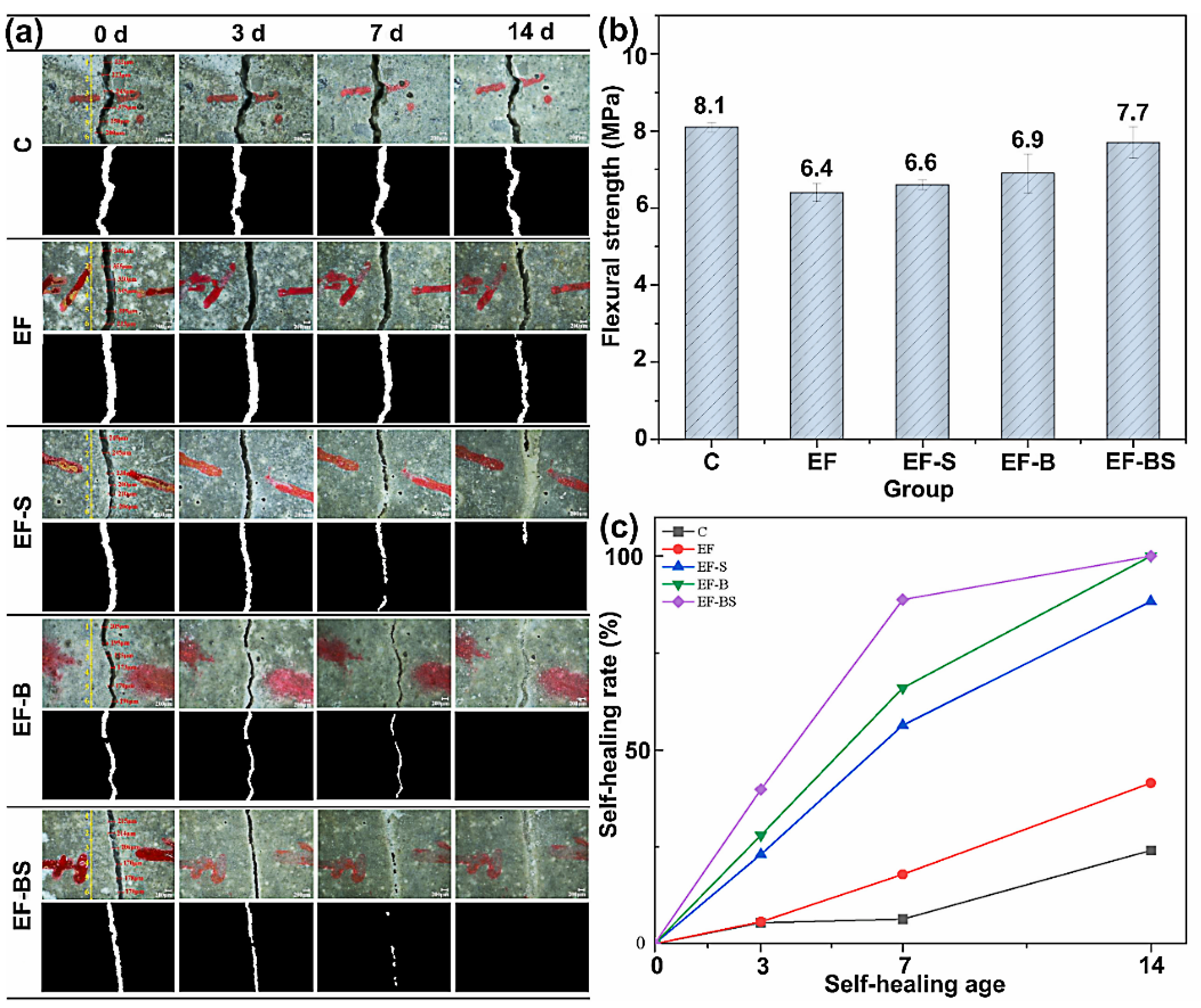 Coatings 15 01441 g008