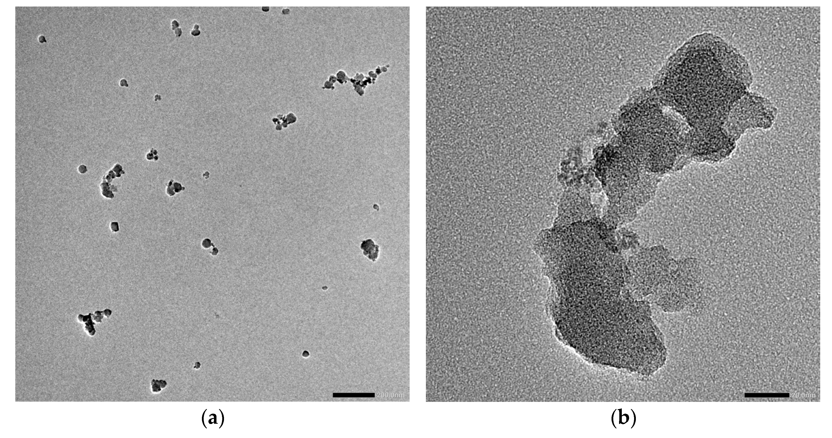 Coatings 15 01449 g002a Coatings 15 01449 g002a