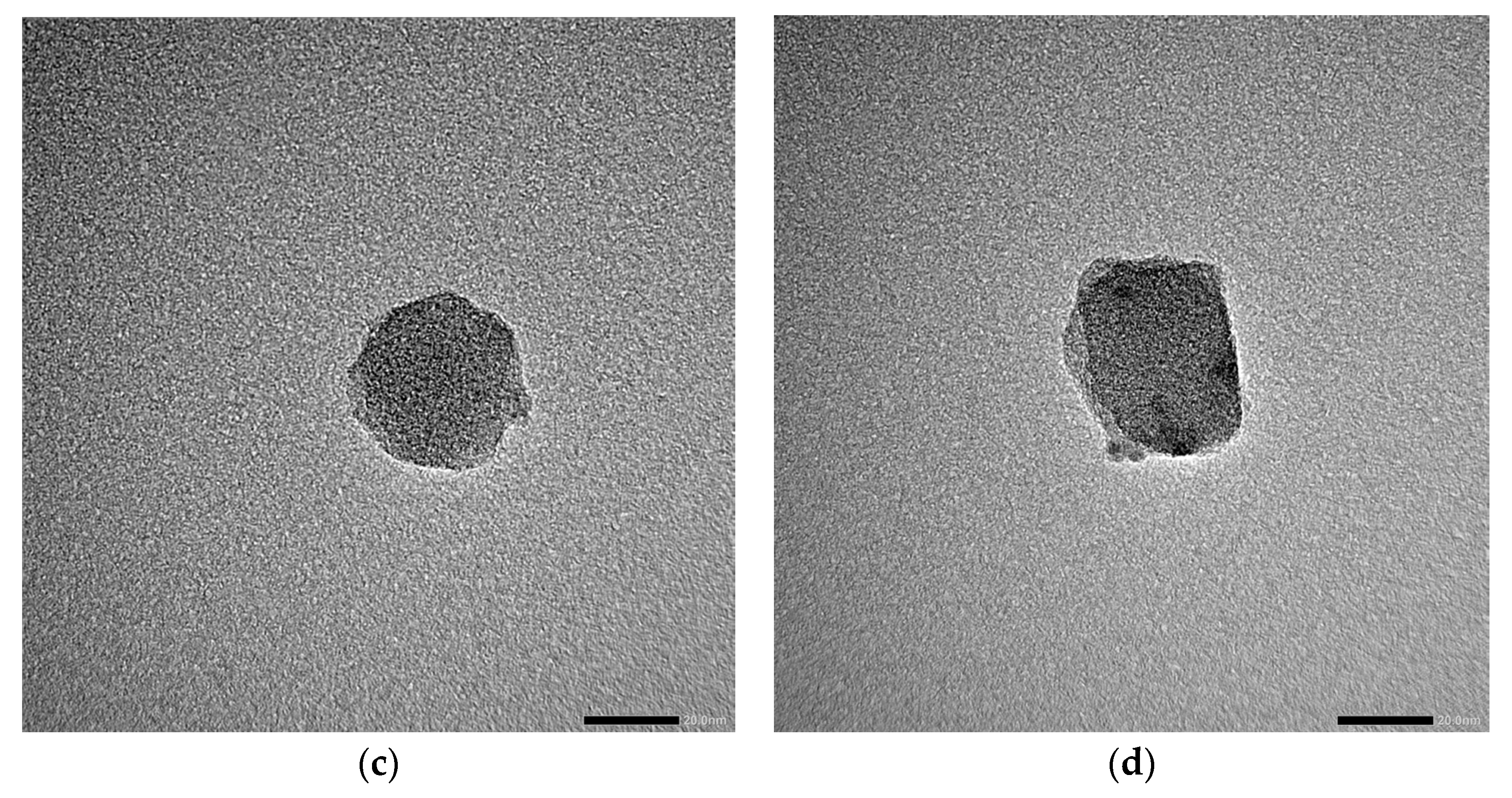 Coatings 15 01449 g002b Coatings 15 01449 g002b