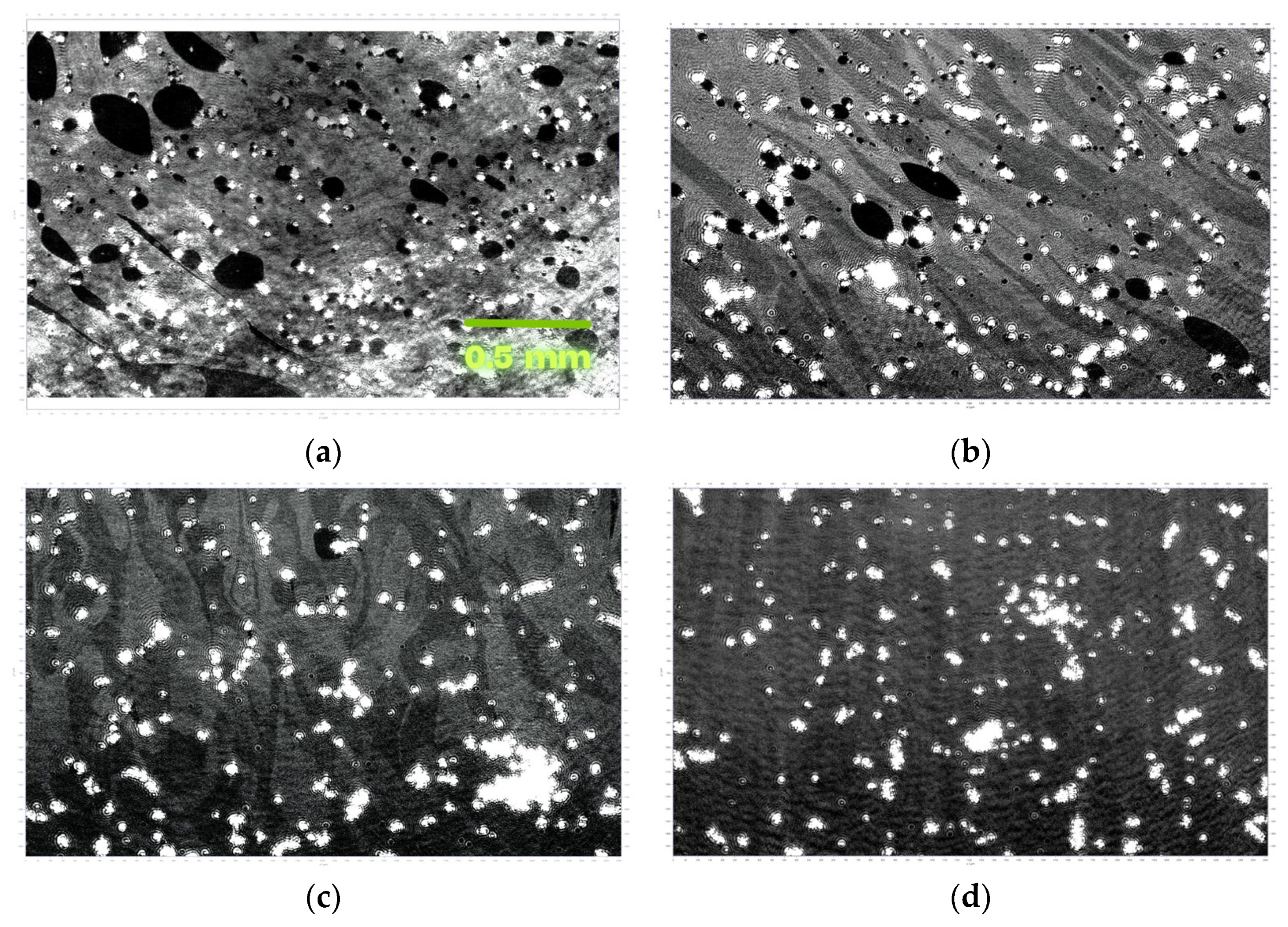 Coatings 15 01449 g006a Coatings 15 01449 g006a