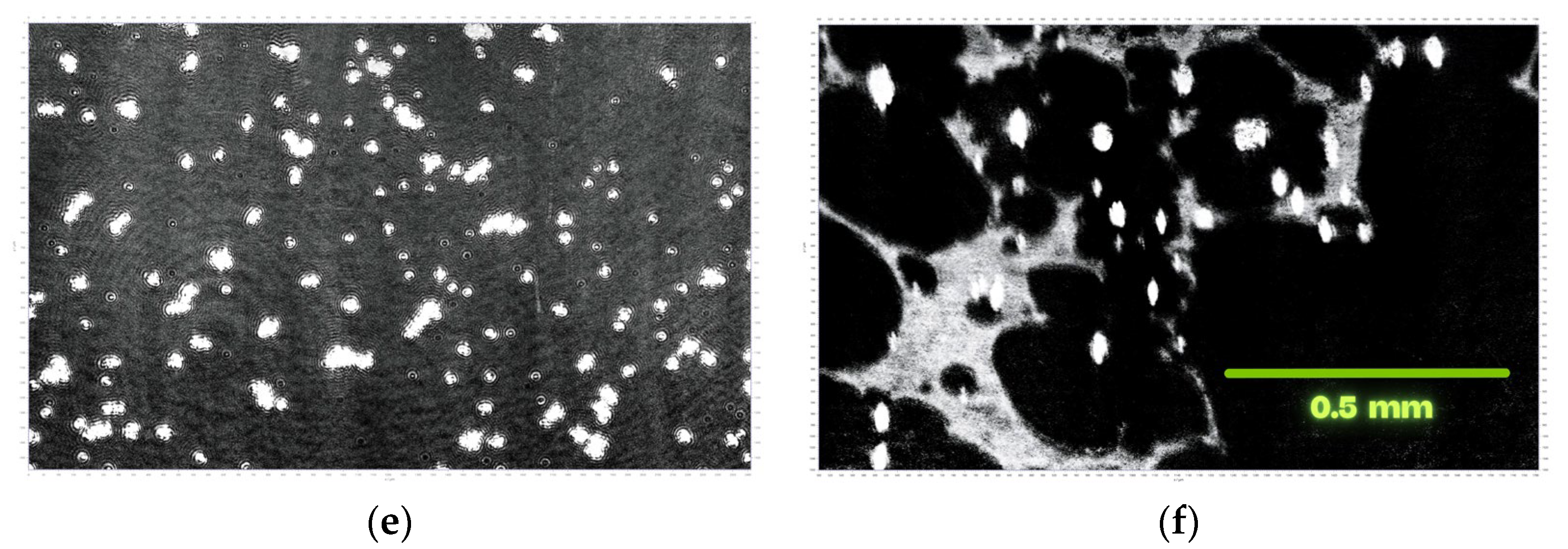 Coatings 15 01449 g006b Coatings 15 01449 g006b