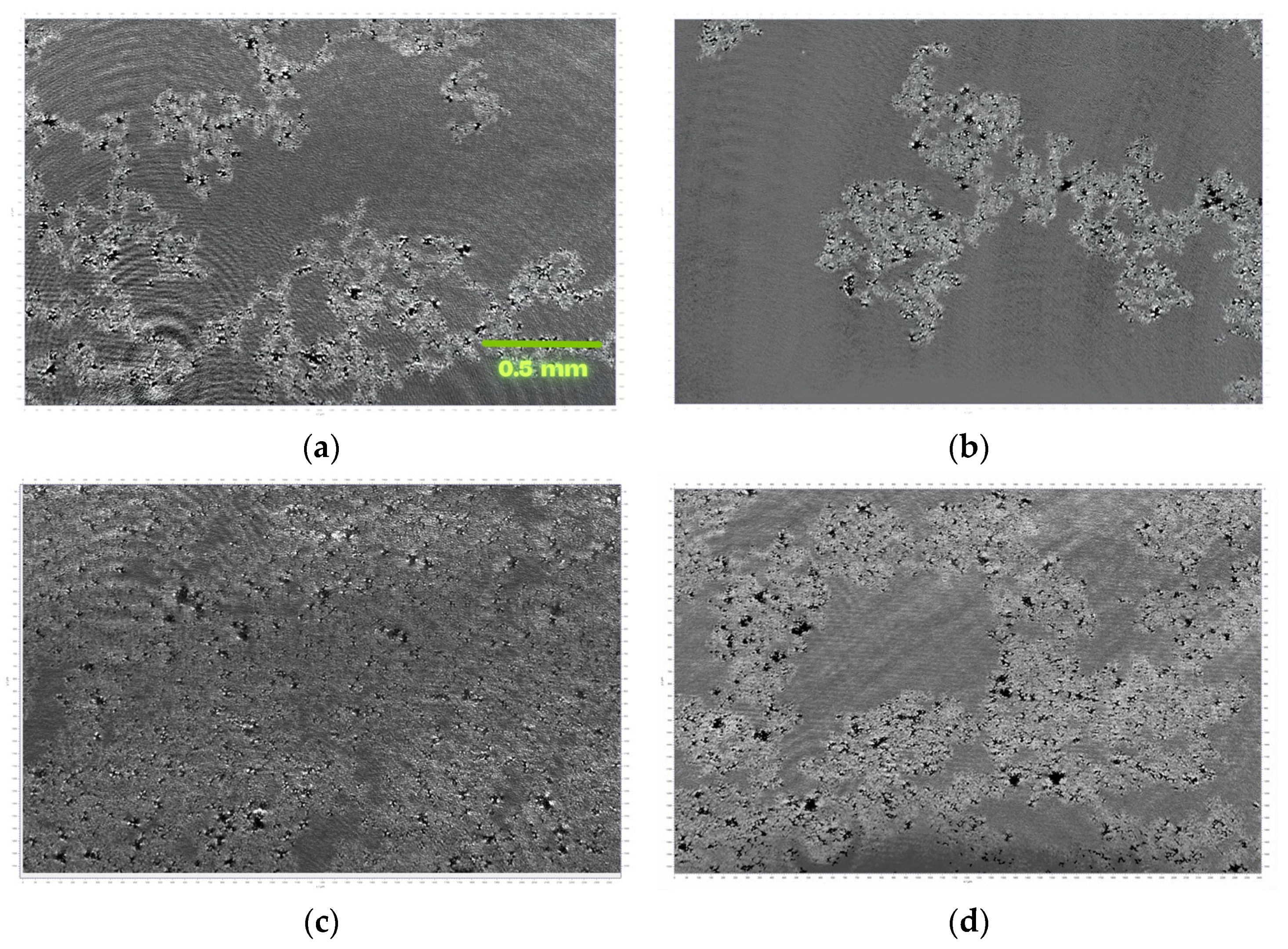 Coatings 15 01449 g007a Coatings 15 01449 g007a