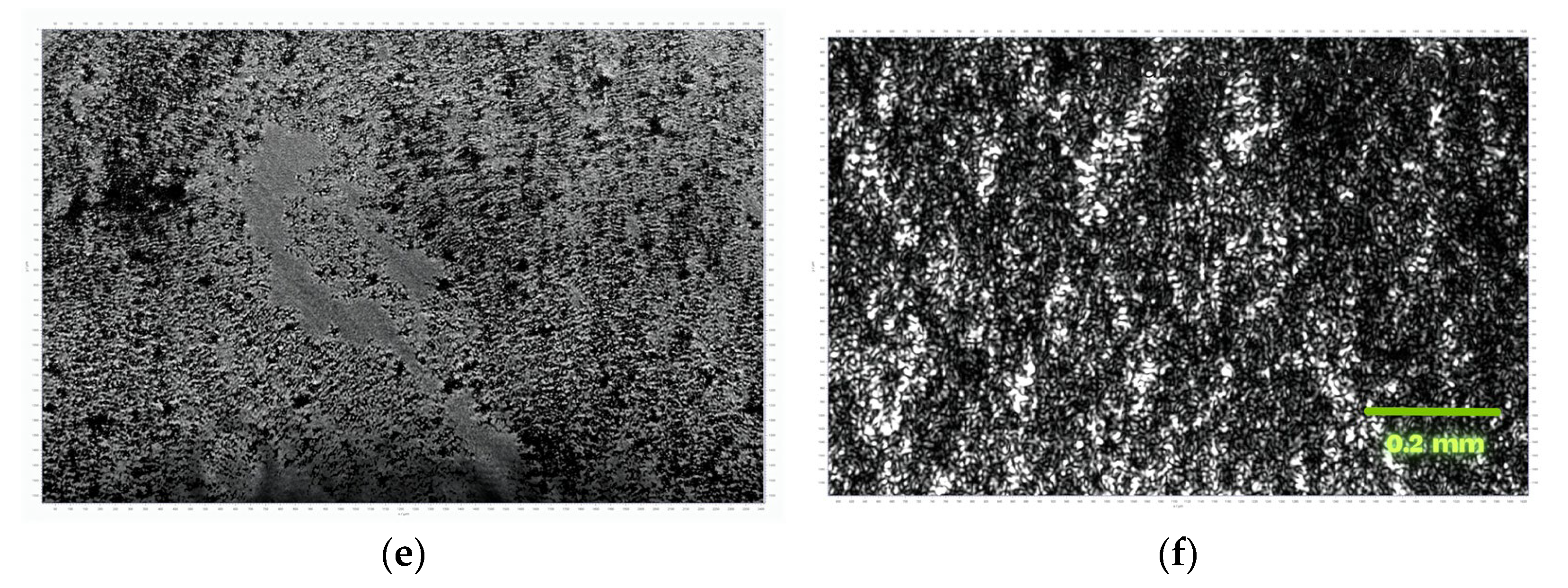 Coatings 15 01449 g007b Coatings 15 01449 g007b