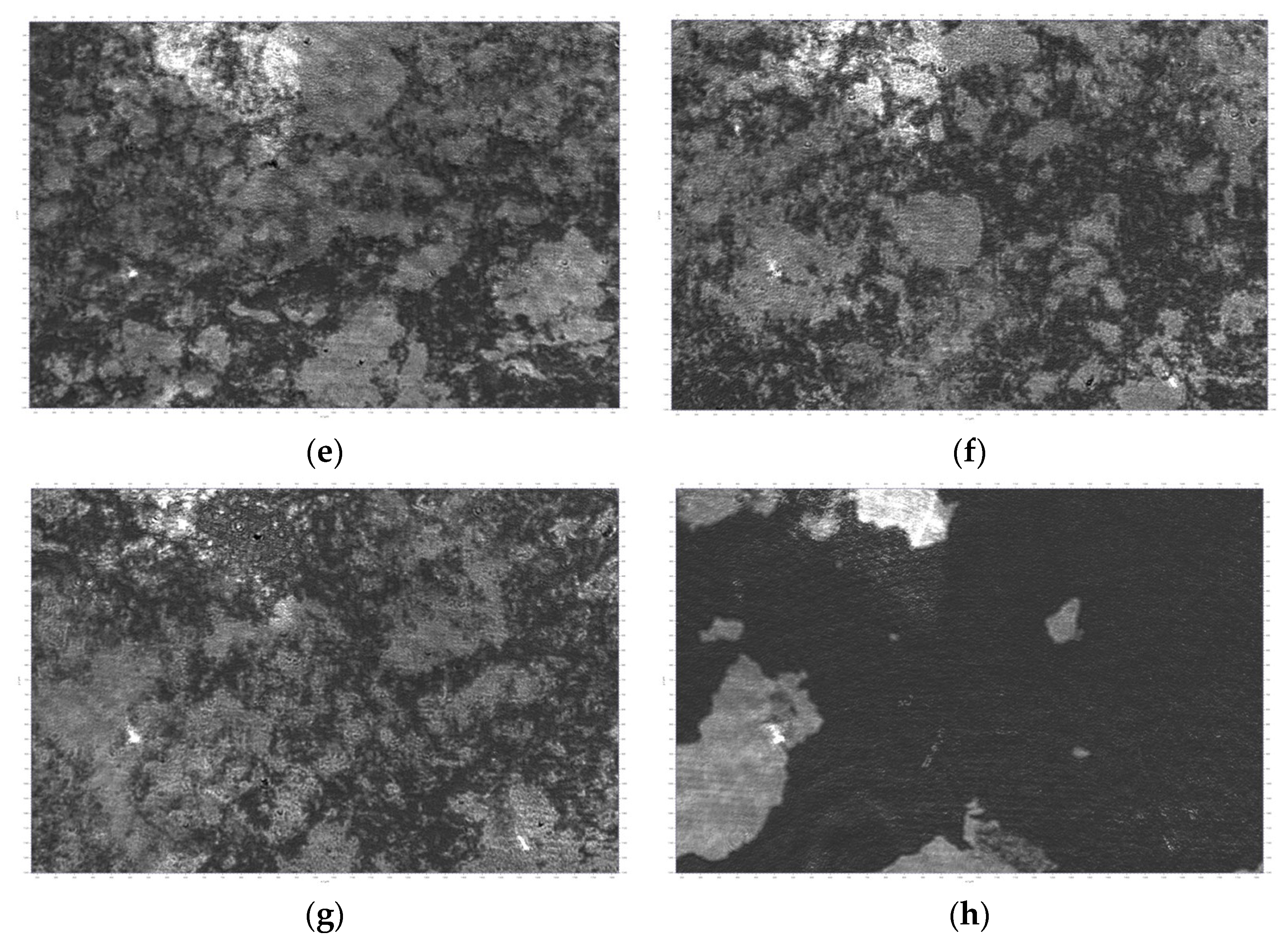 Coatings 15 01449 g008b Coatings 15 01449 g008b
