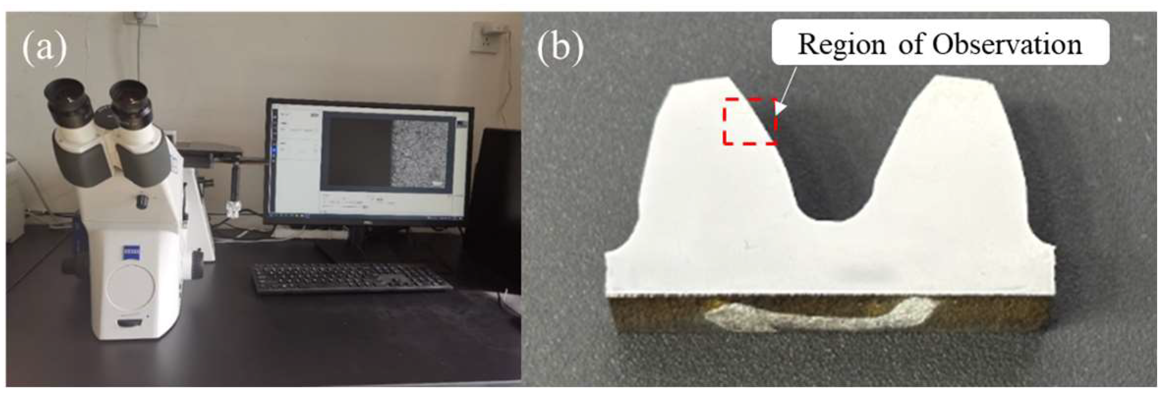 Coatings 15 01452 g005