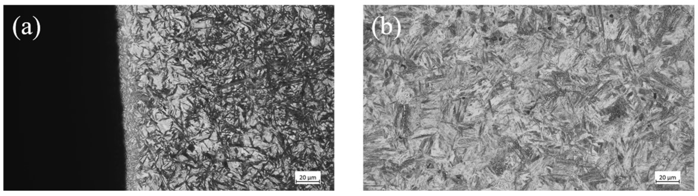 Coatings 15 01452 g009