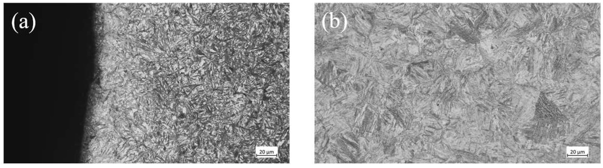 Coatings 15 01452 g010