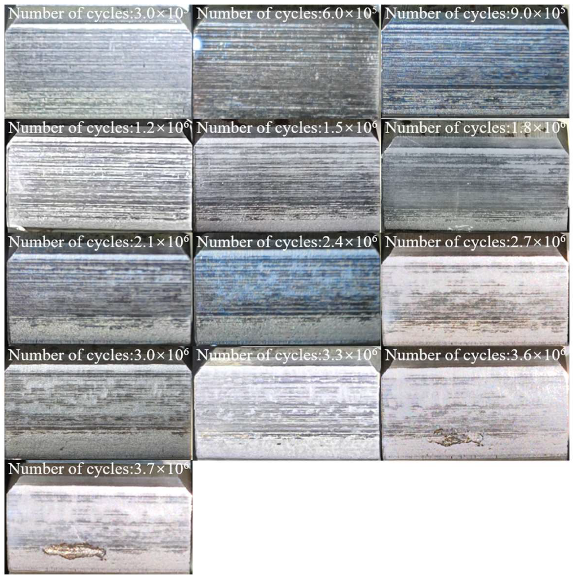 Coatings 15 01452 g015