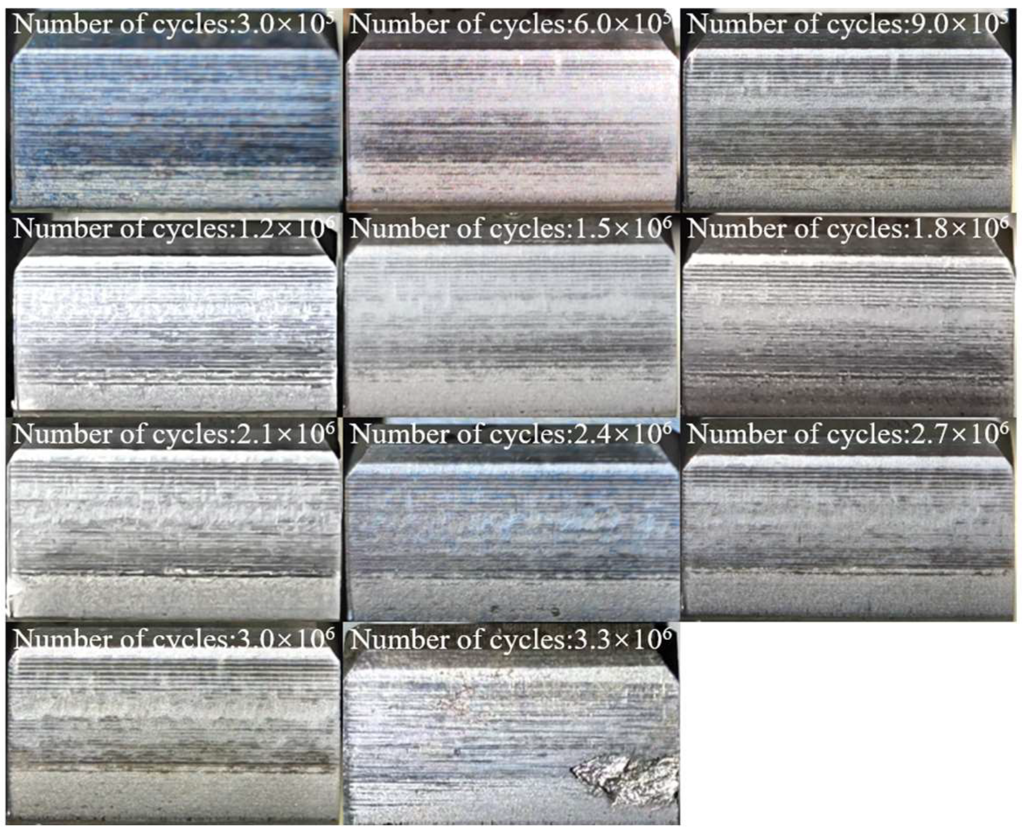Coatings 15 01452 g016