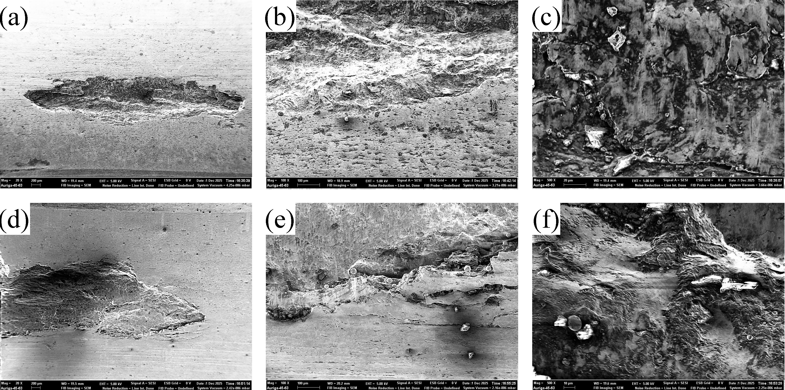 Coatings 15 01452 g019