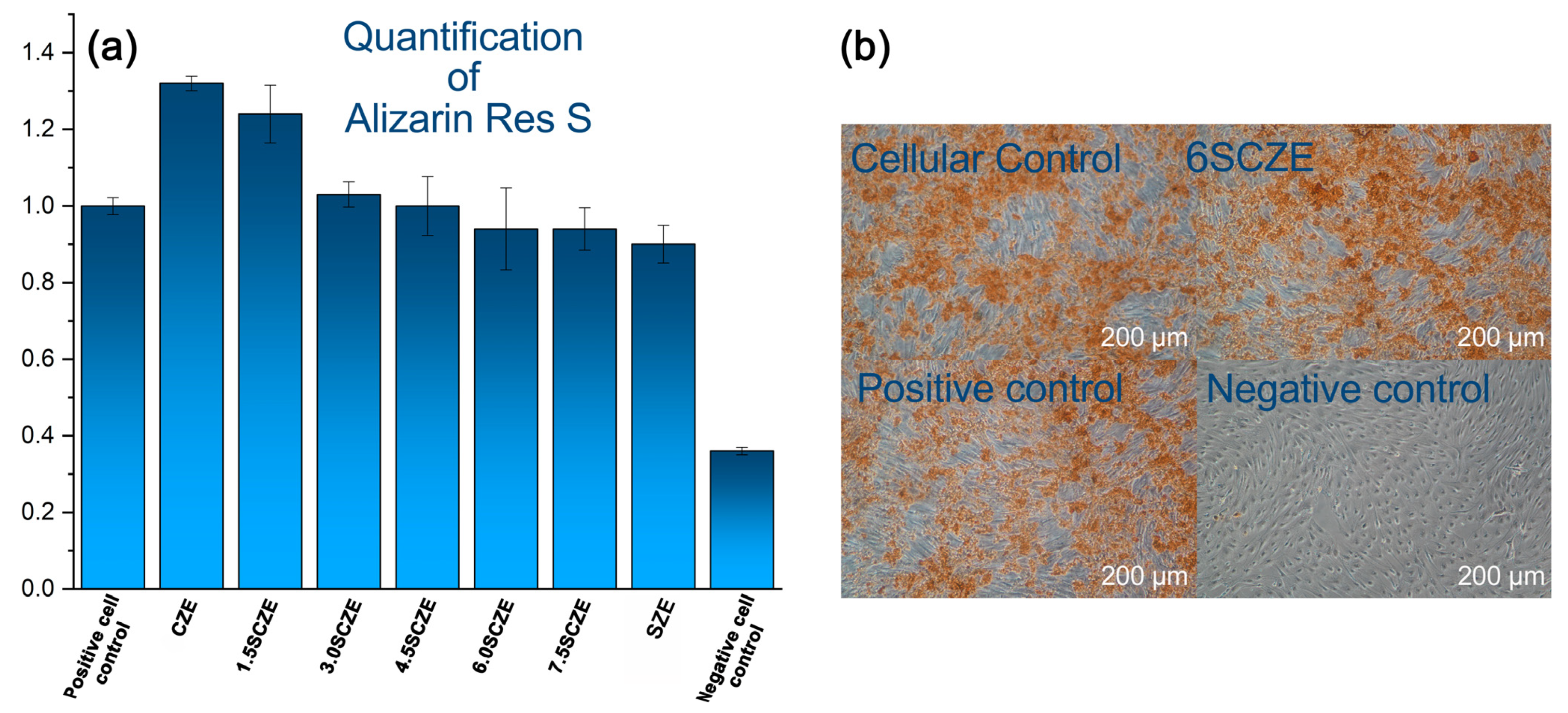 Coatings 15 01453 g011 Coatings 15 01453 g011
