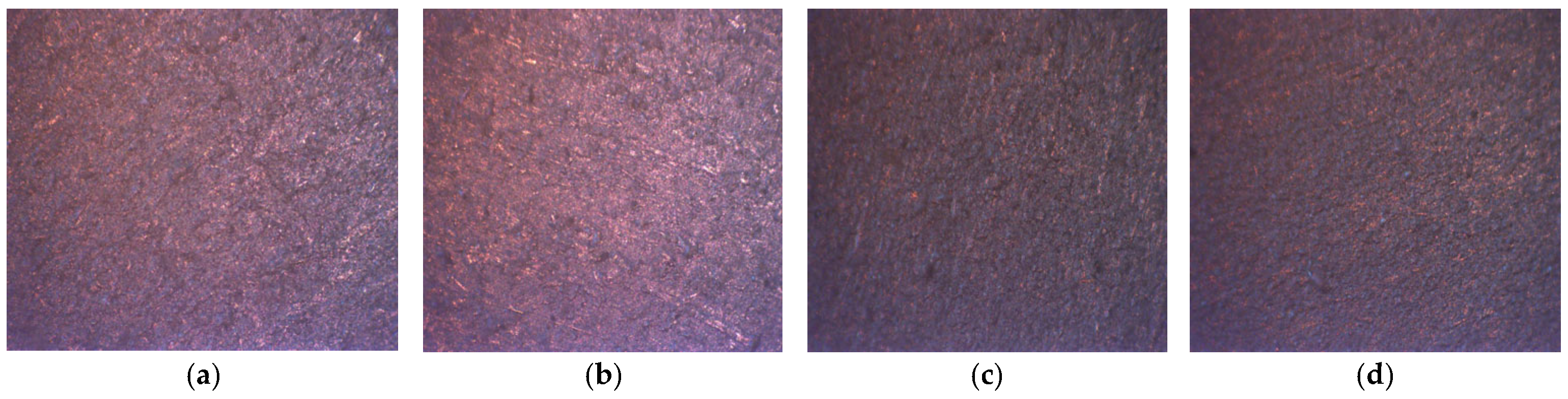 Coatings 15 01458 g022 Coatings 15 01458 g022