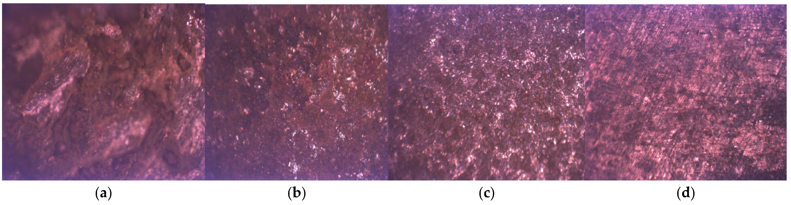 Coatings 15 01458 g023 Coatings 15 01458 g023