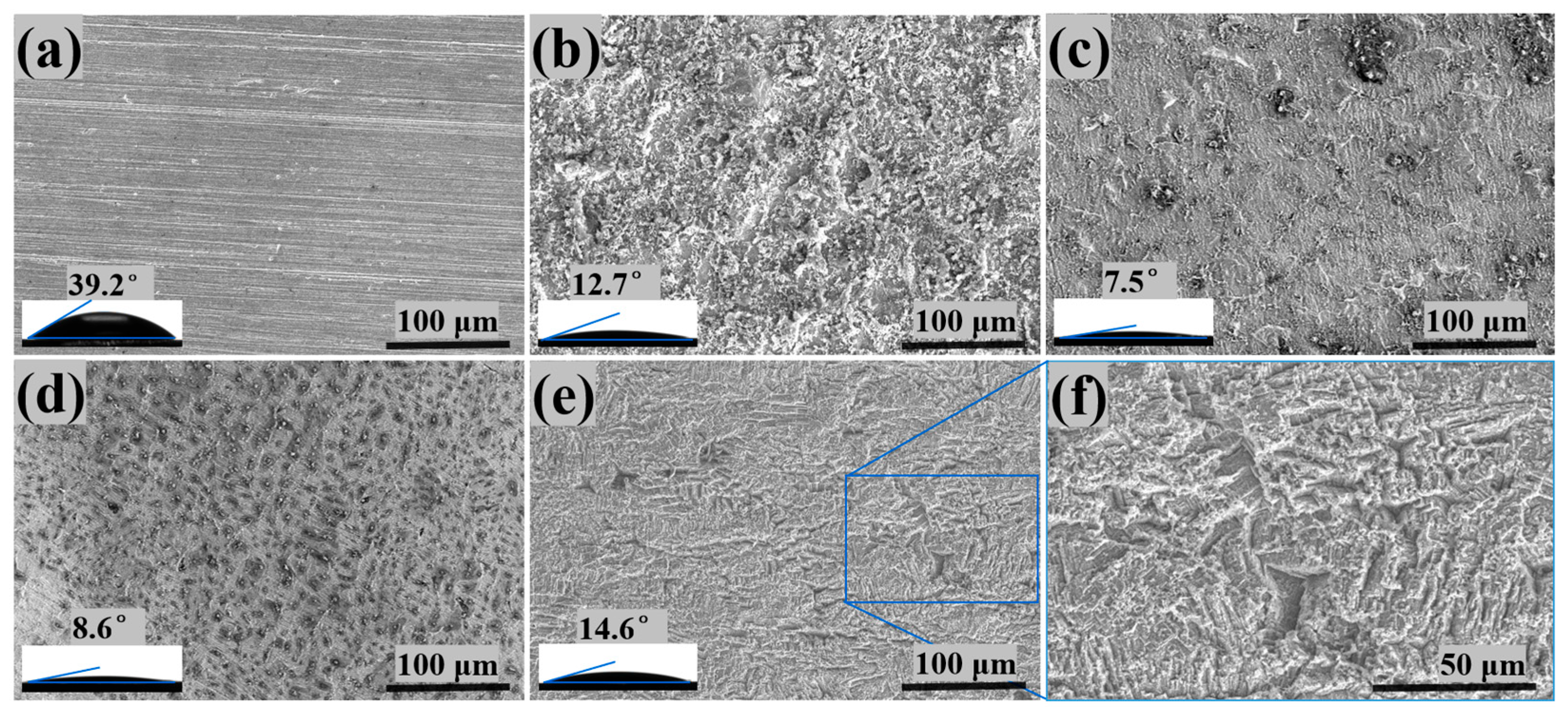 Coatings 15 01460 g005 Coatings 15 01460 g005