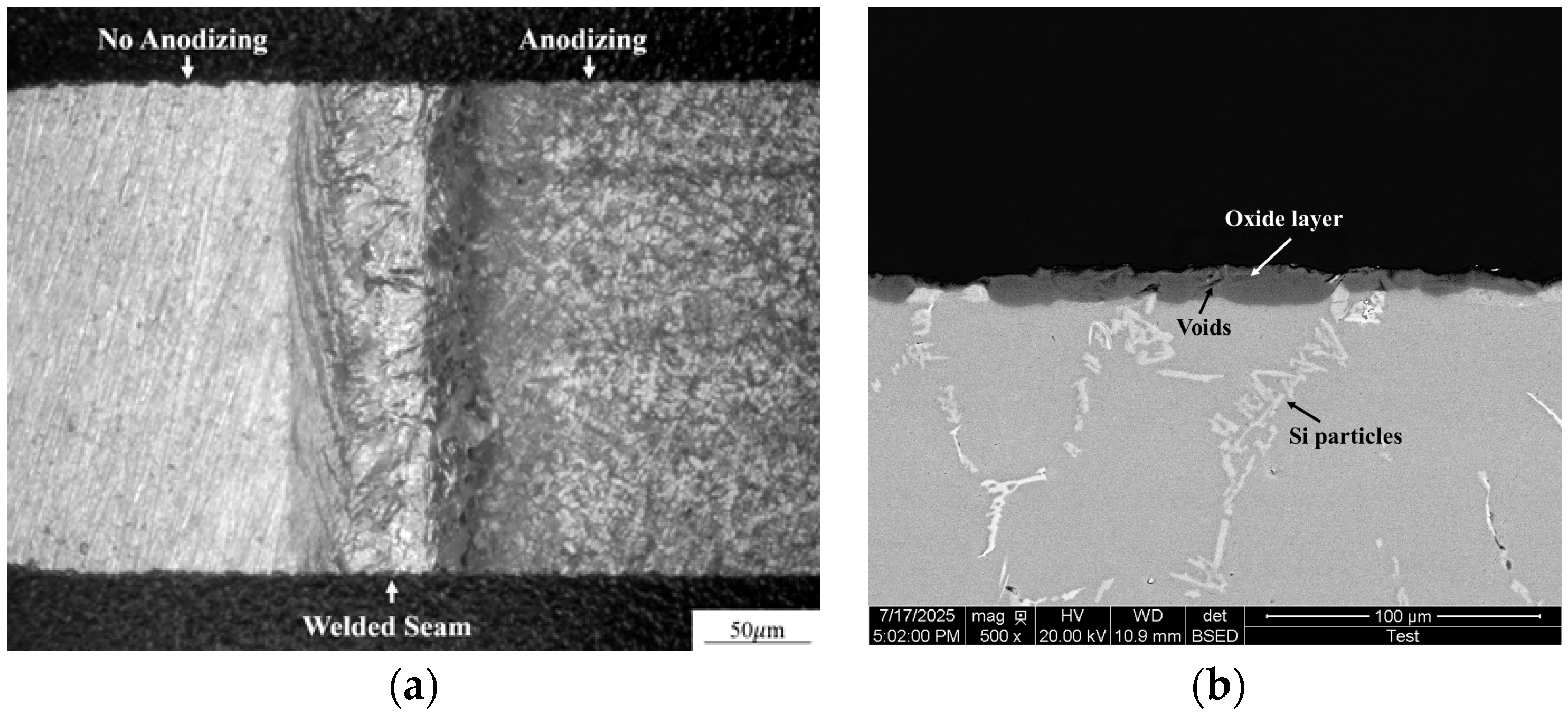 Coatings 15 01461 g006 Coatings 15 01461 g006