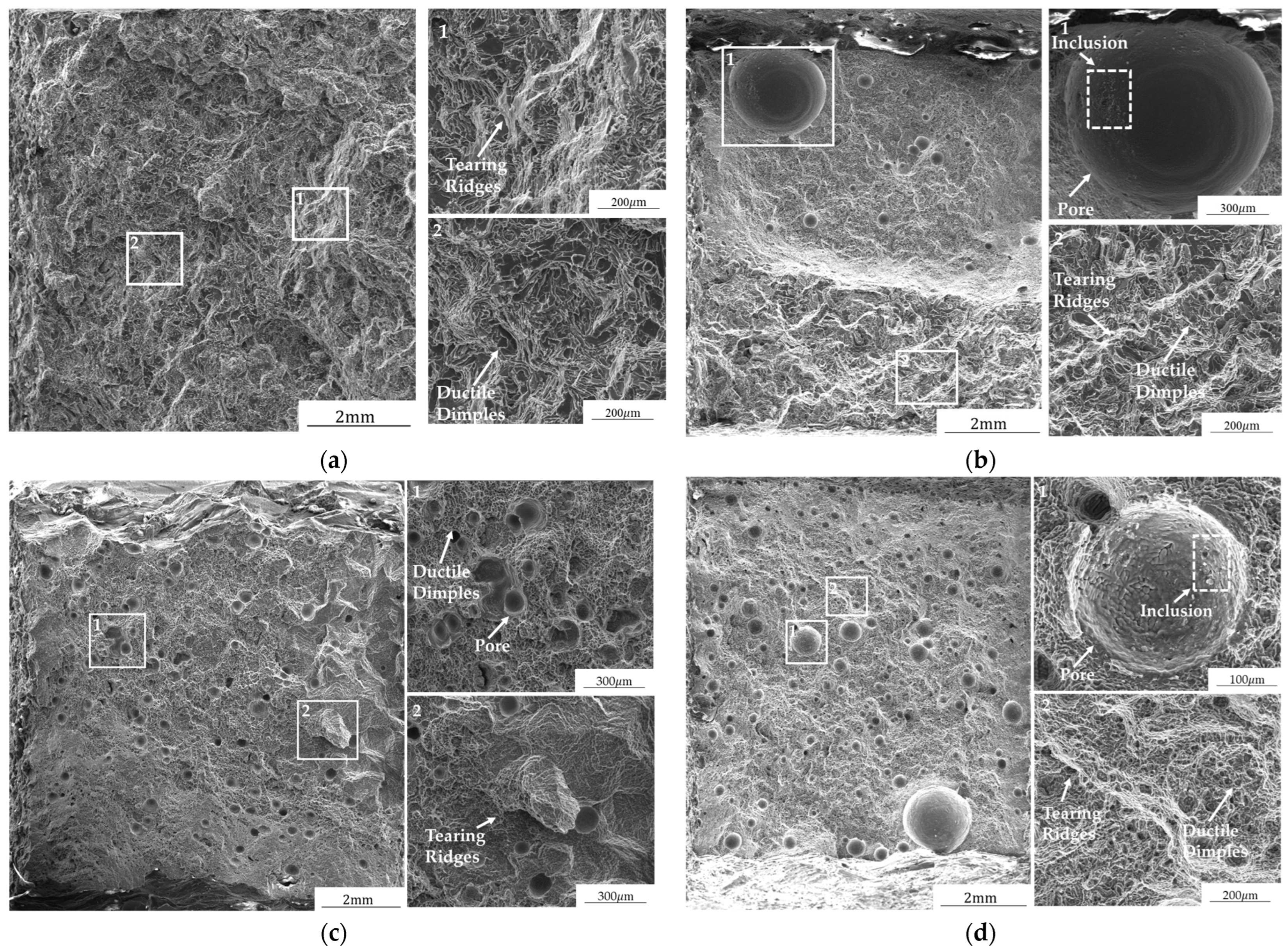 Coatings 15 01461 g011 Coatings 15 01461 g011