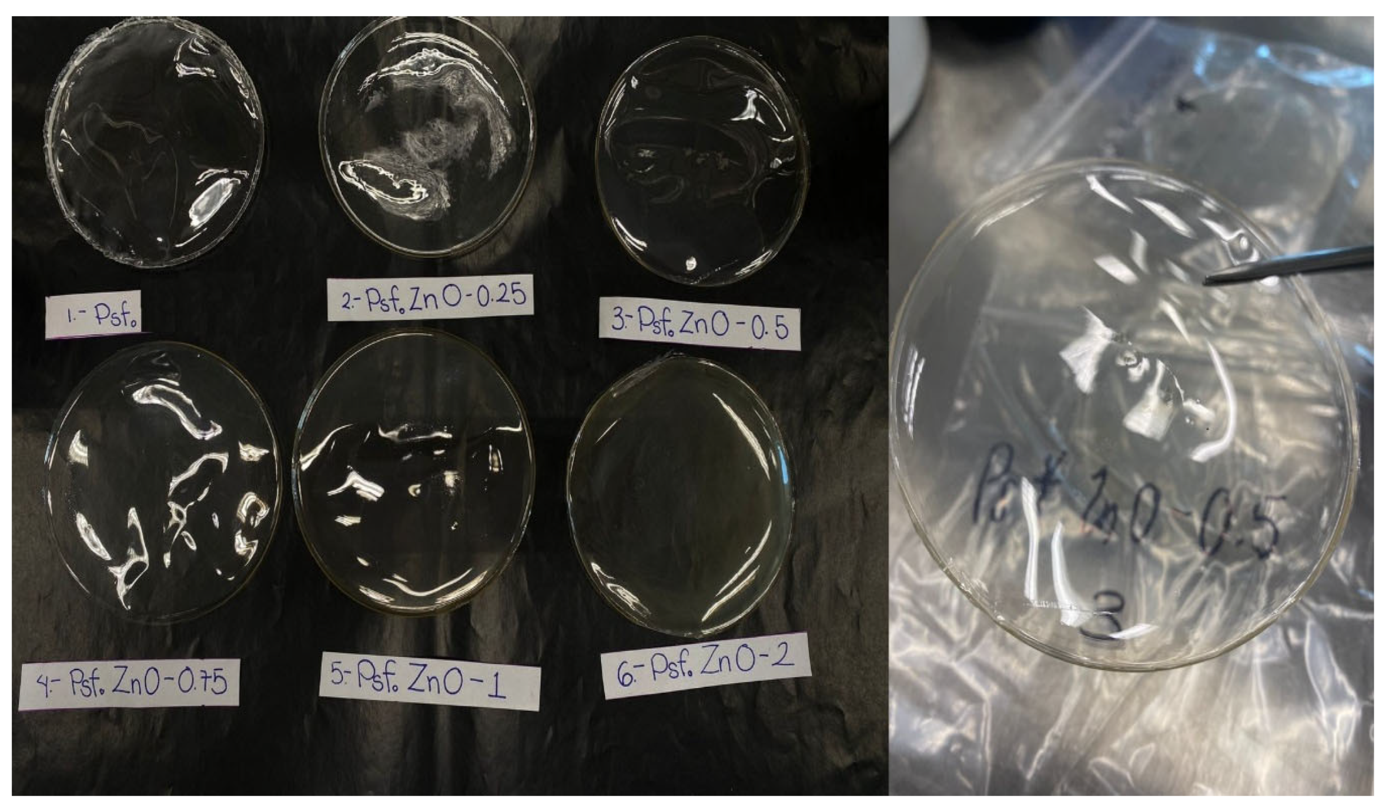 Coatings 15 01462 g005