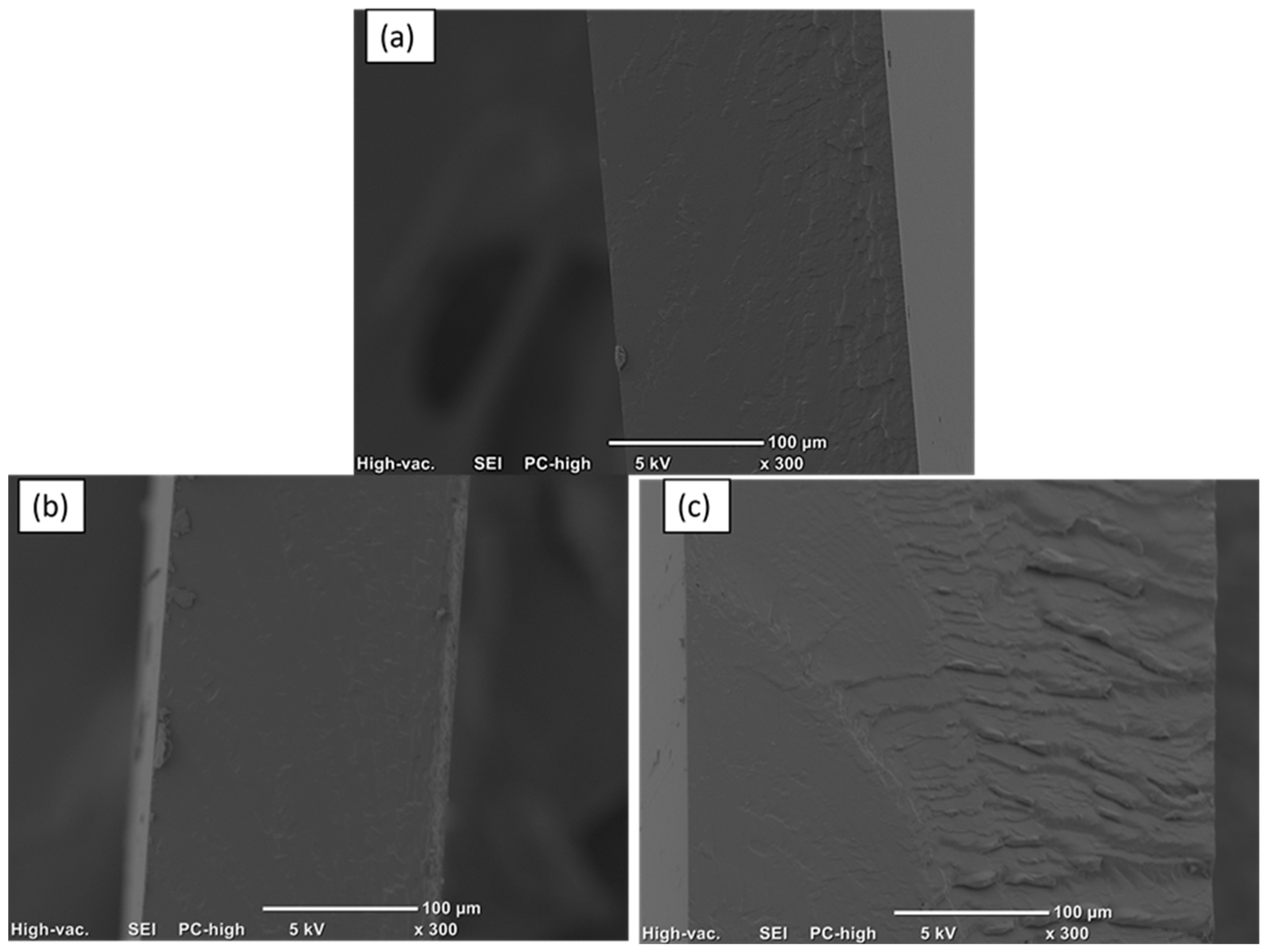 Coatings 15 01462 g006