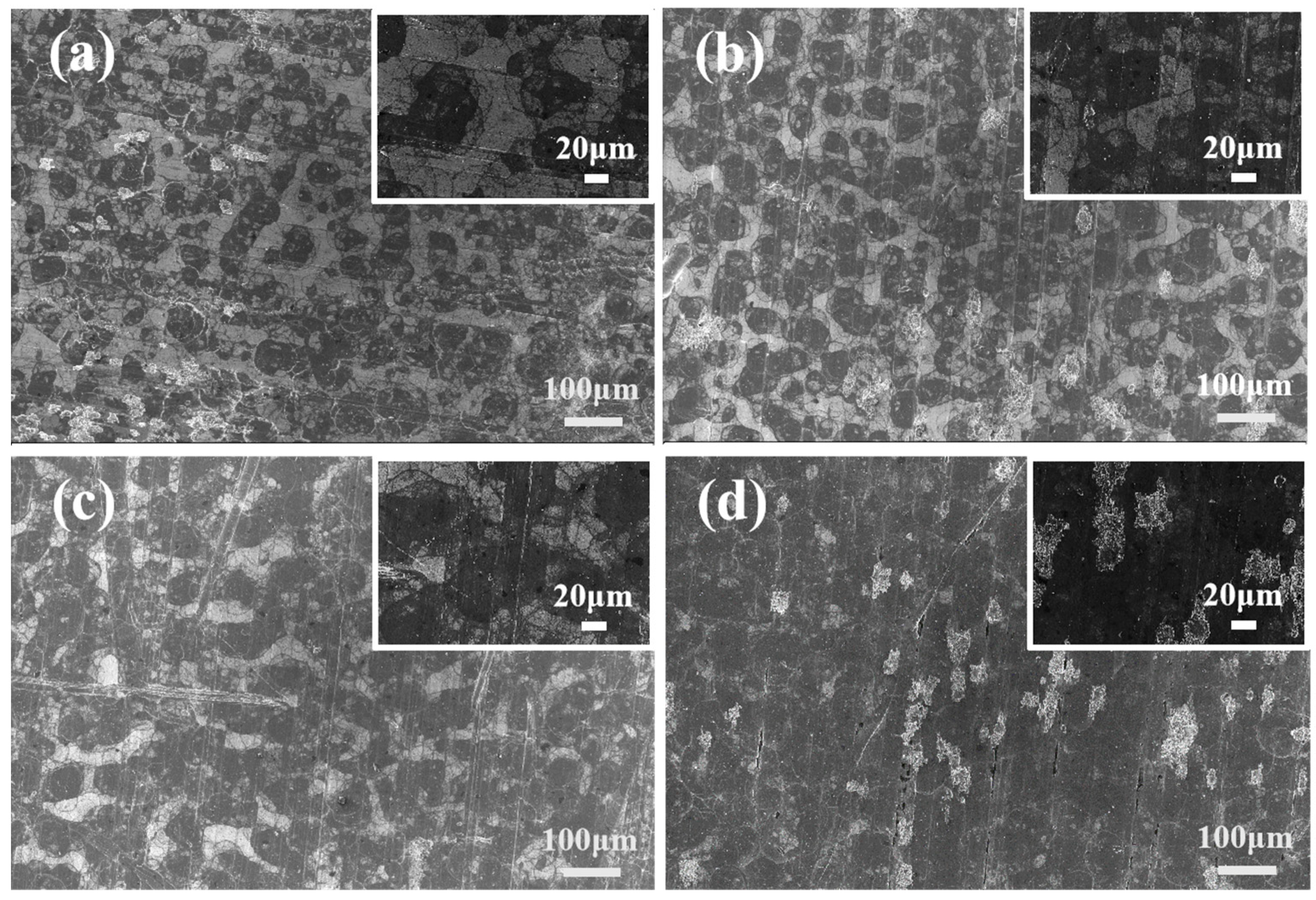 Coatings 15 01468 g002 Coatings 15 01468 g002