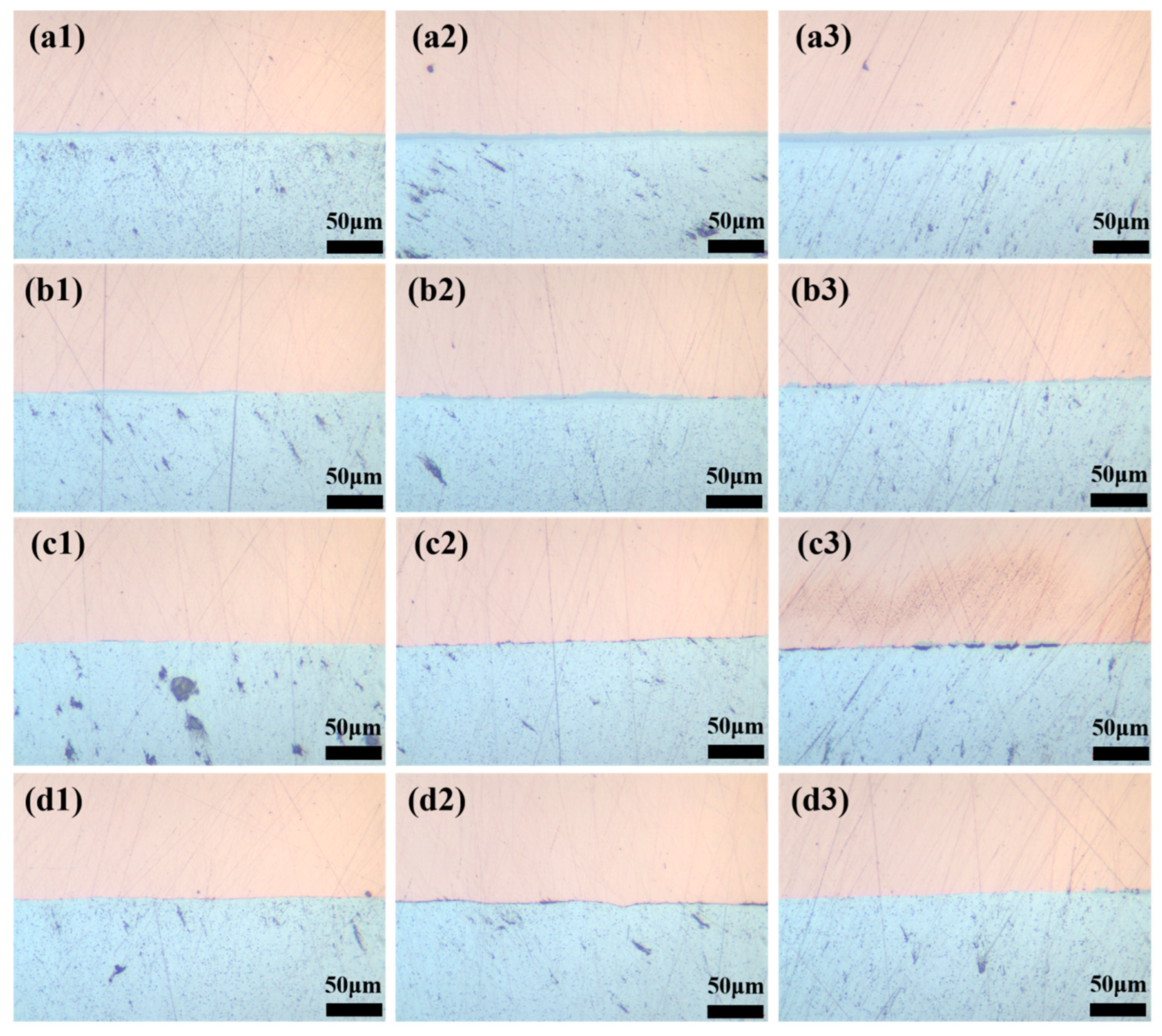 Coatings 15 01468 g003 Coatings 15 01468 g003