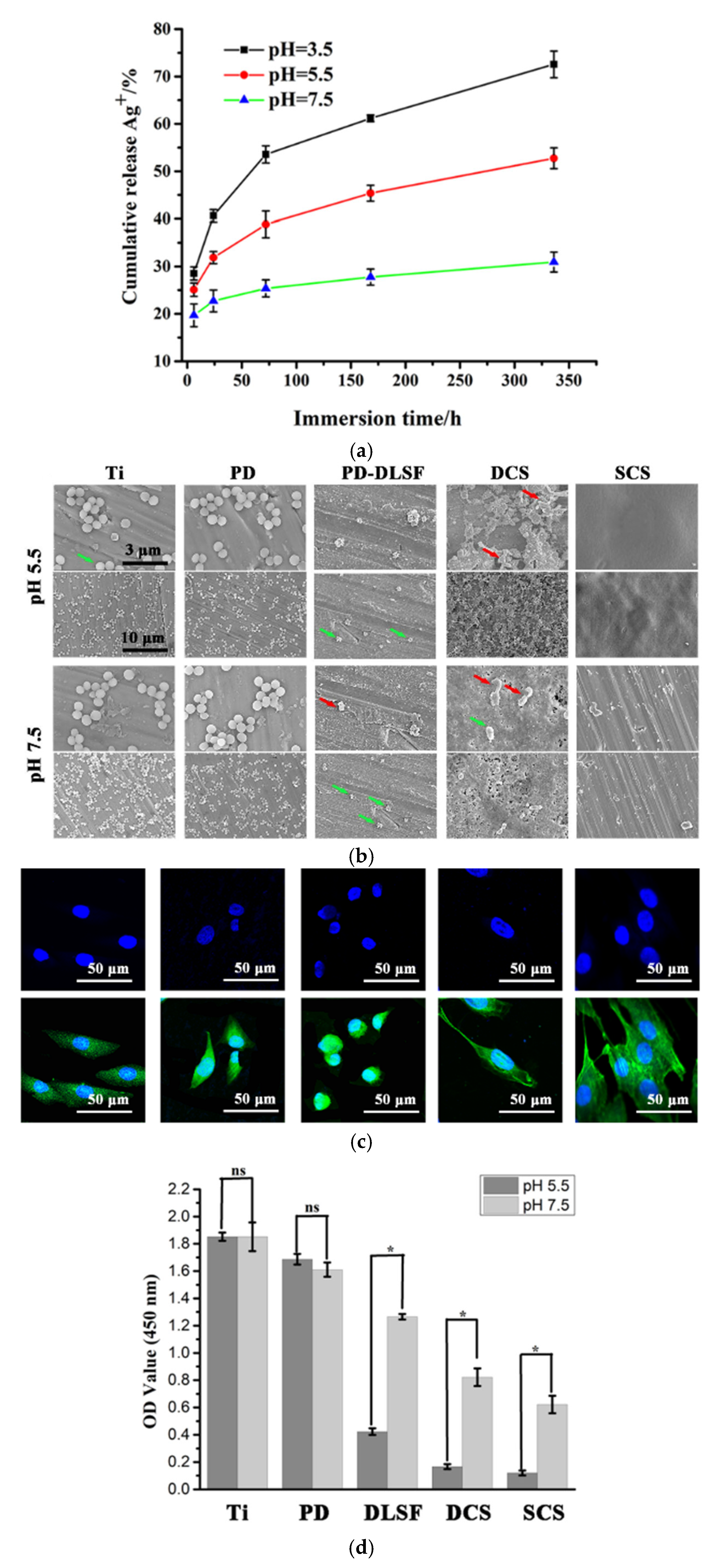 Coatings 15 01471 g003 Coatings 15 01471 g003