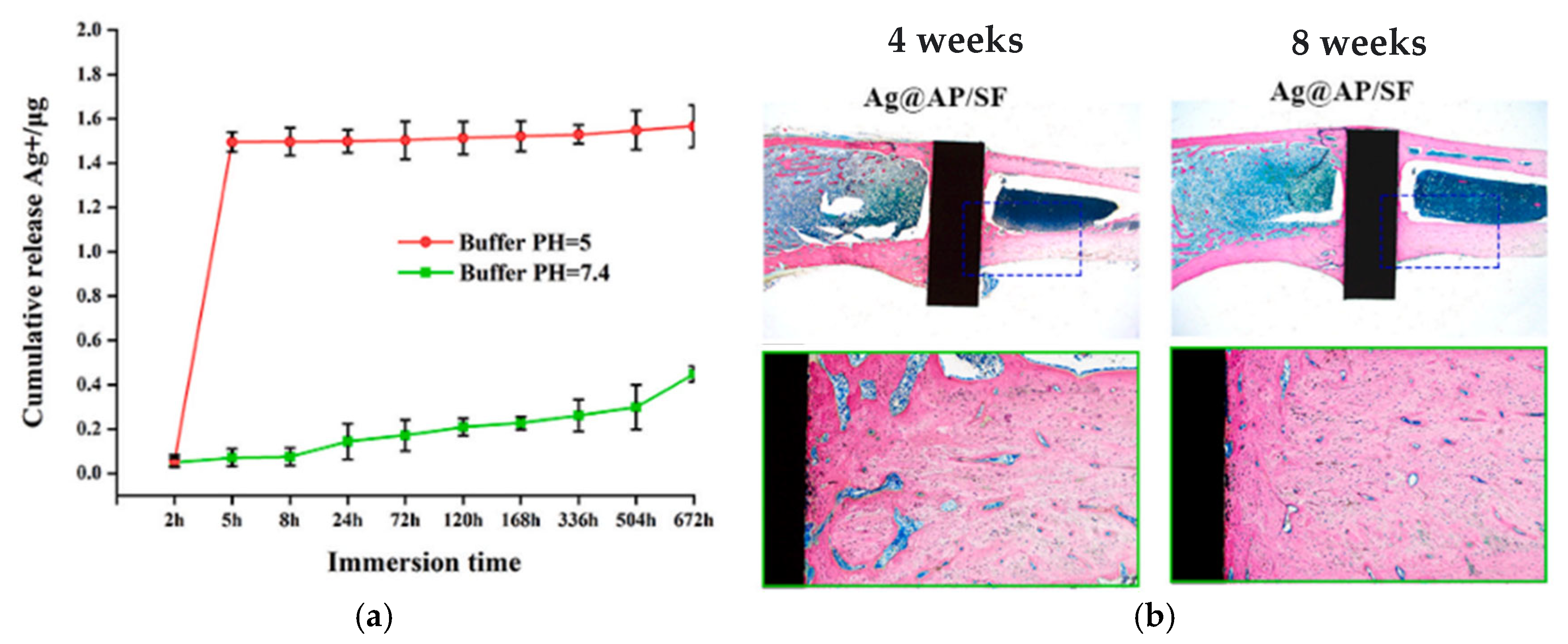 Coatings 15 01471 g004 Coatings 15 01471 g004