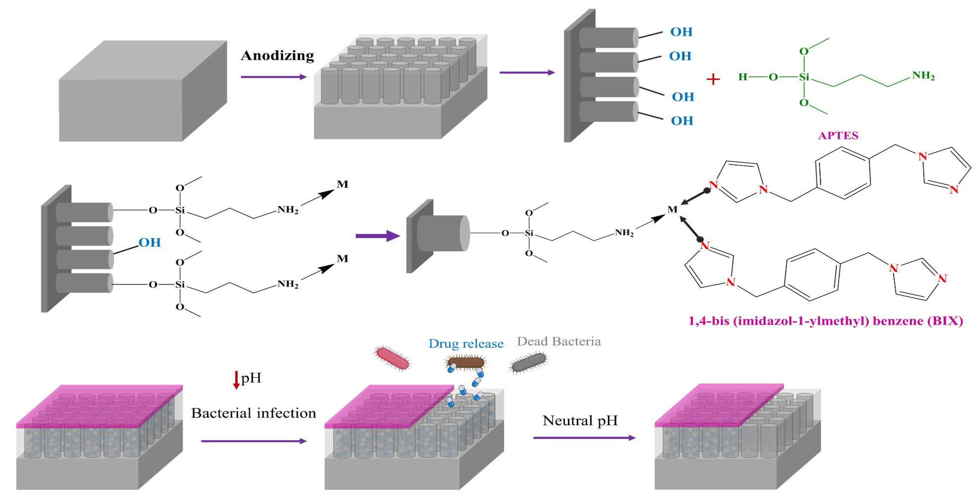 Coatings 15 01471 g005 Coatings 15 01471 g005