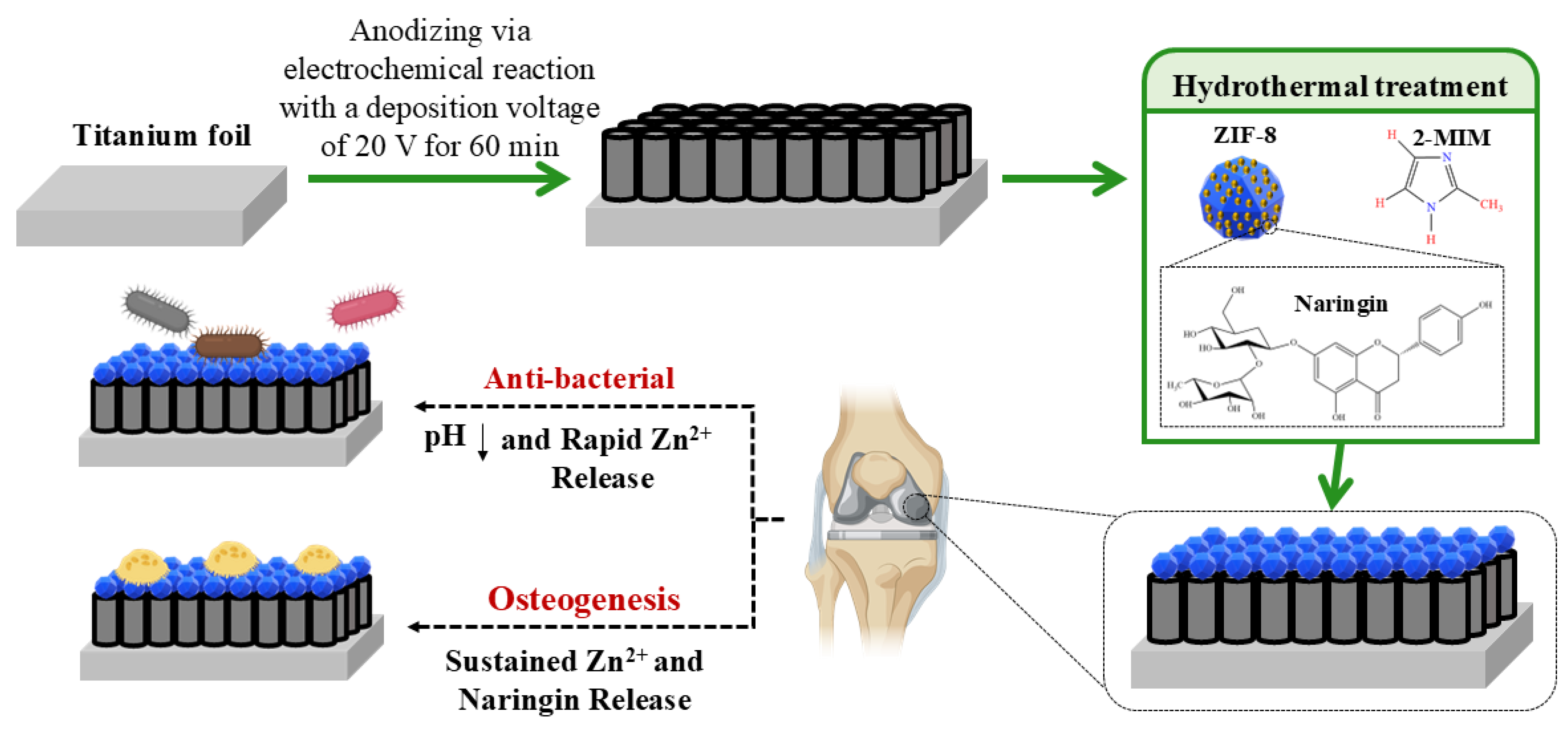 Coatings 15 01471 g006 Coatings 15 01471 g006