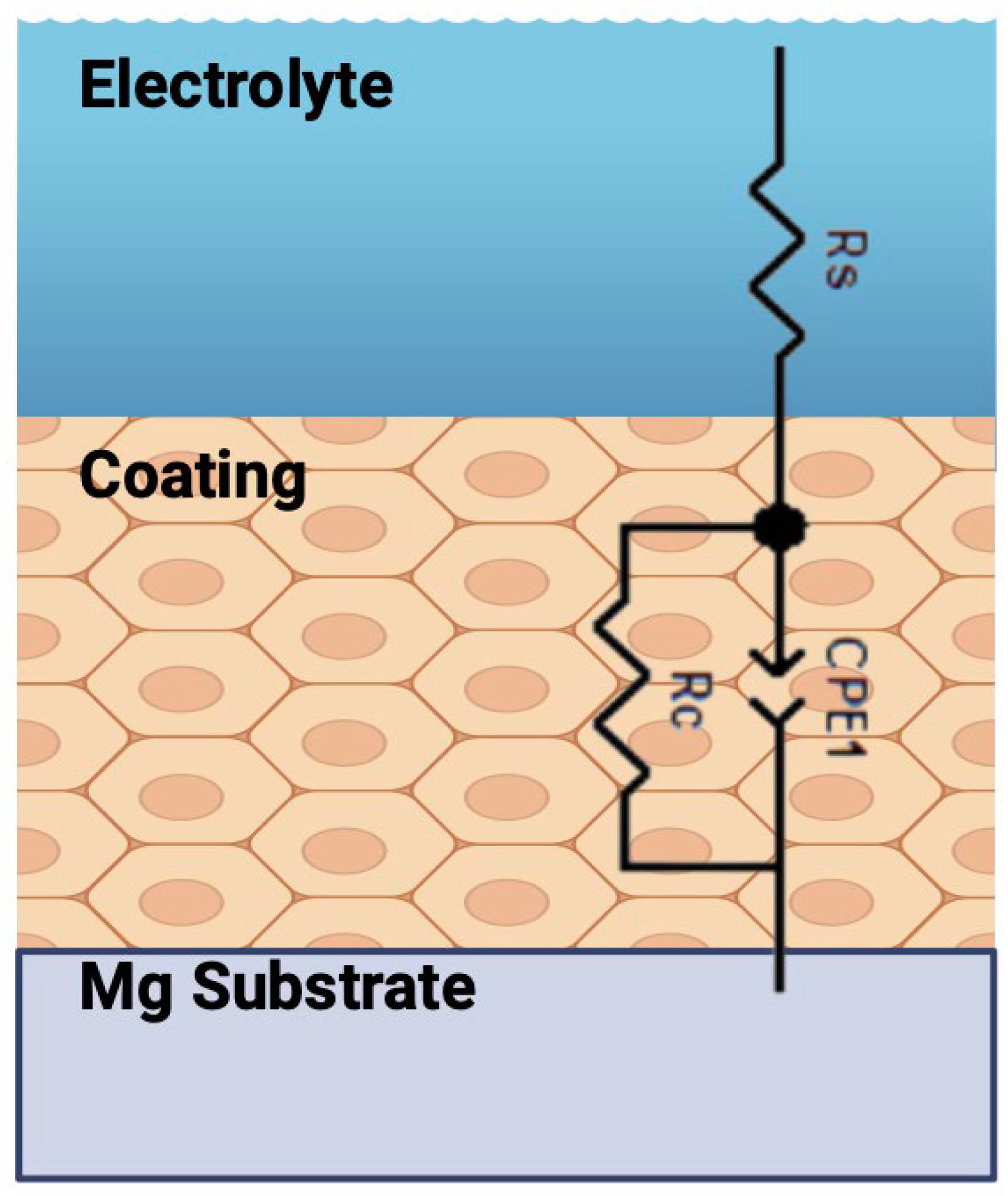Coatings 15 01476 g010 Coatings 15 01476 g010