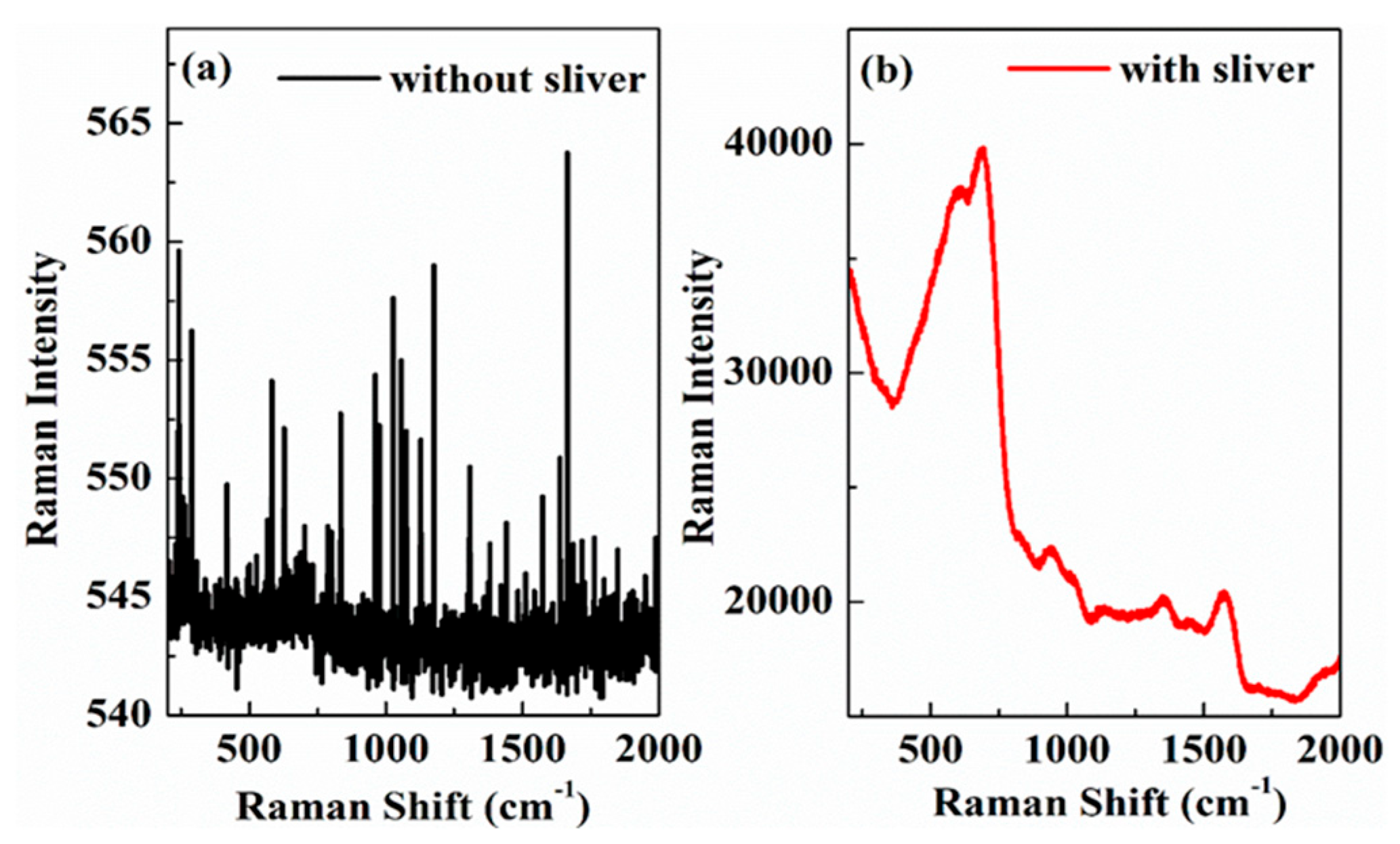 Coatings 15 01477 g001