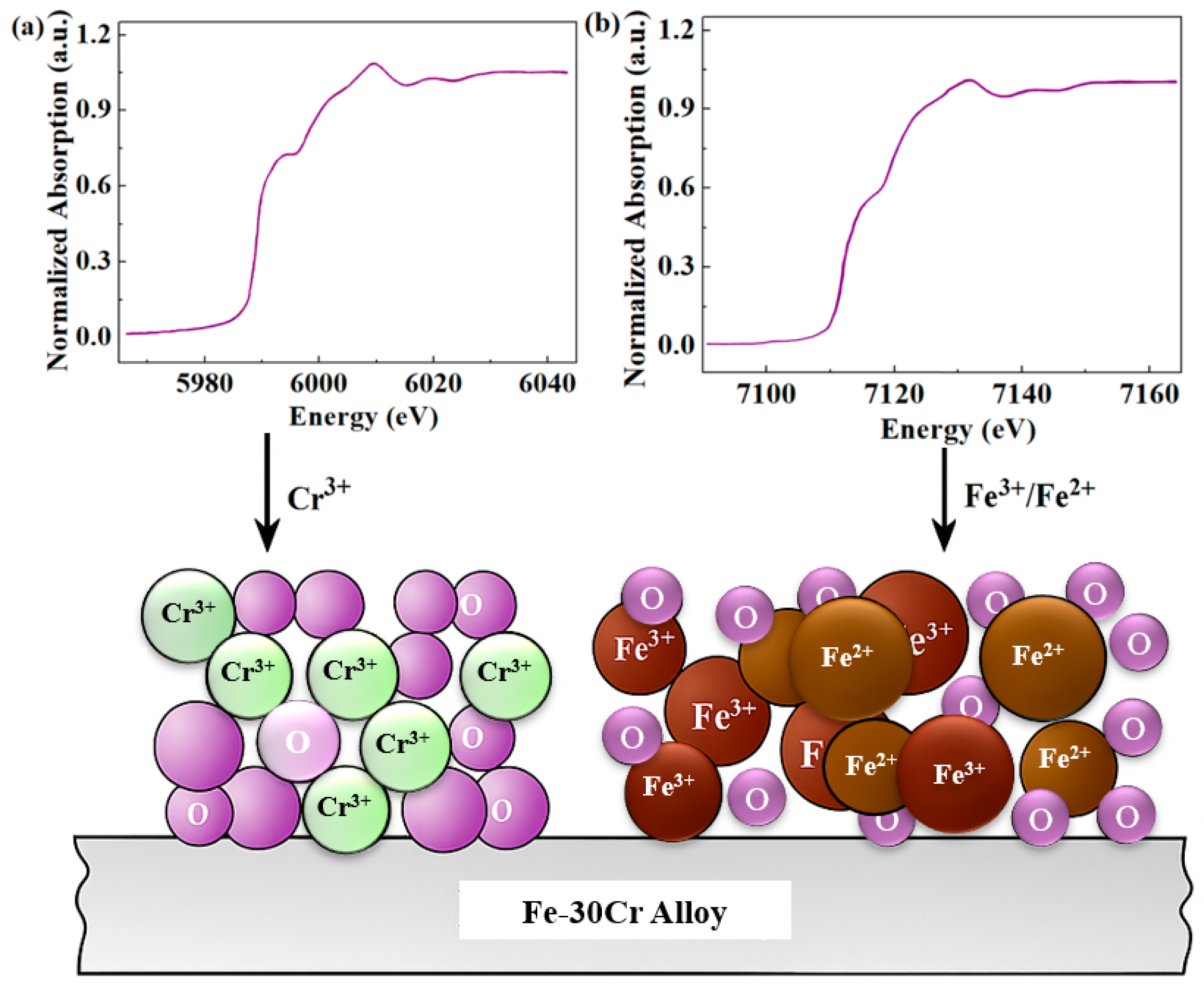 Coatings 15 01477 g007