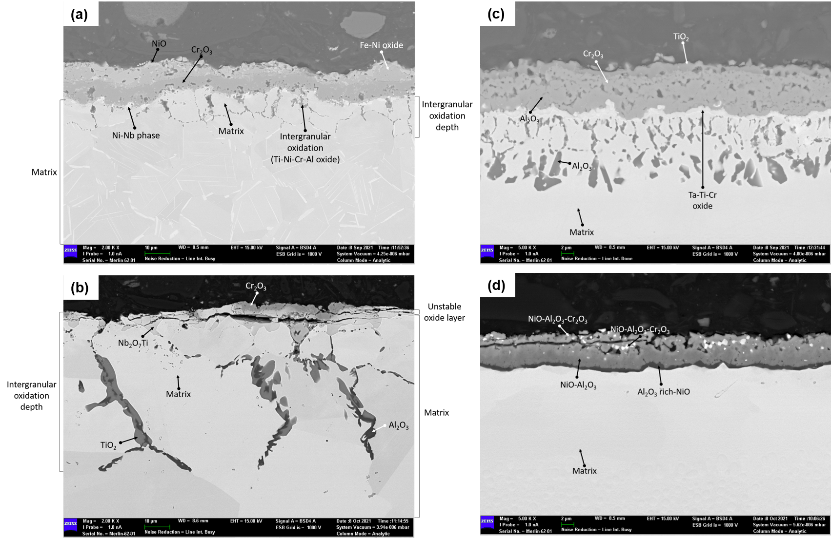 Coatings 15 01482 g001