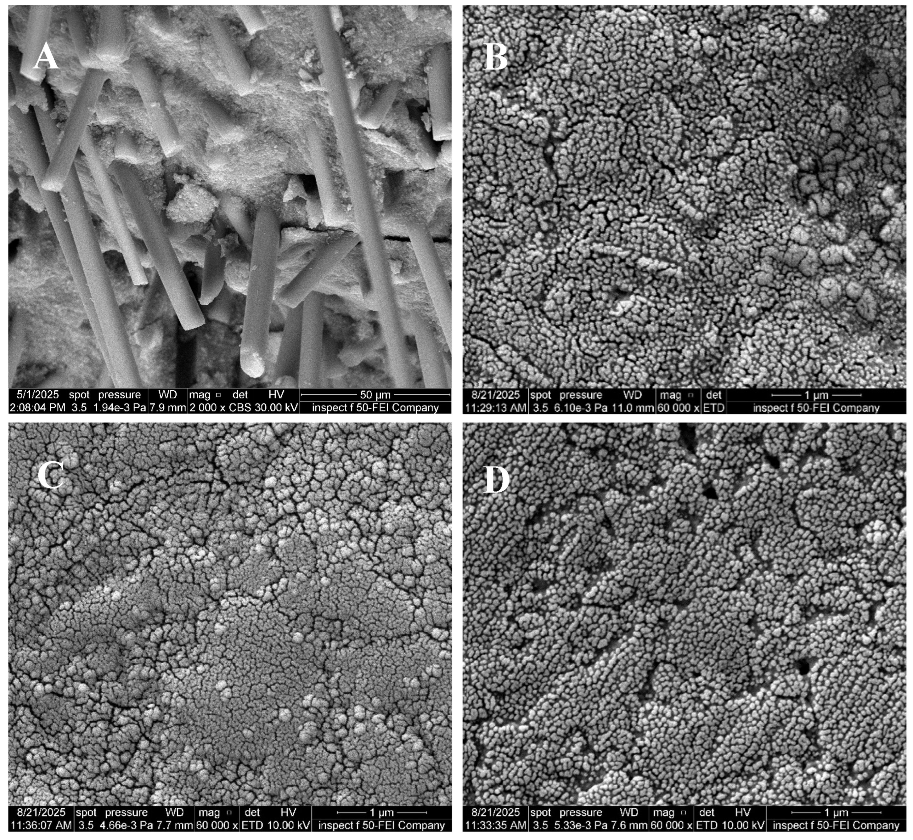 Coatings 15 01485 g007