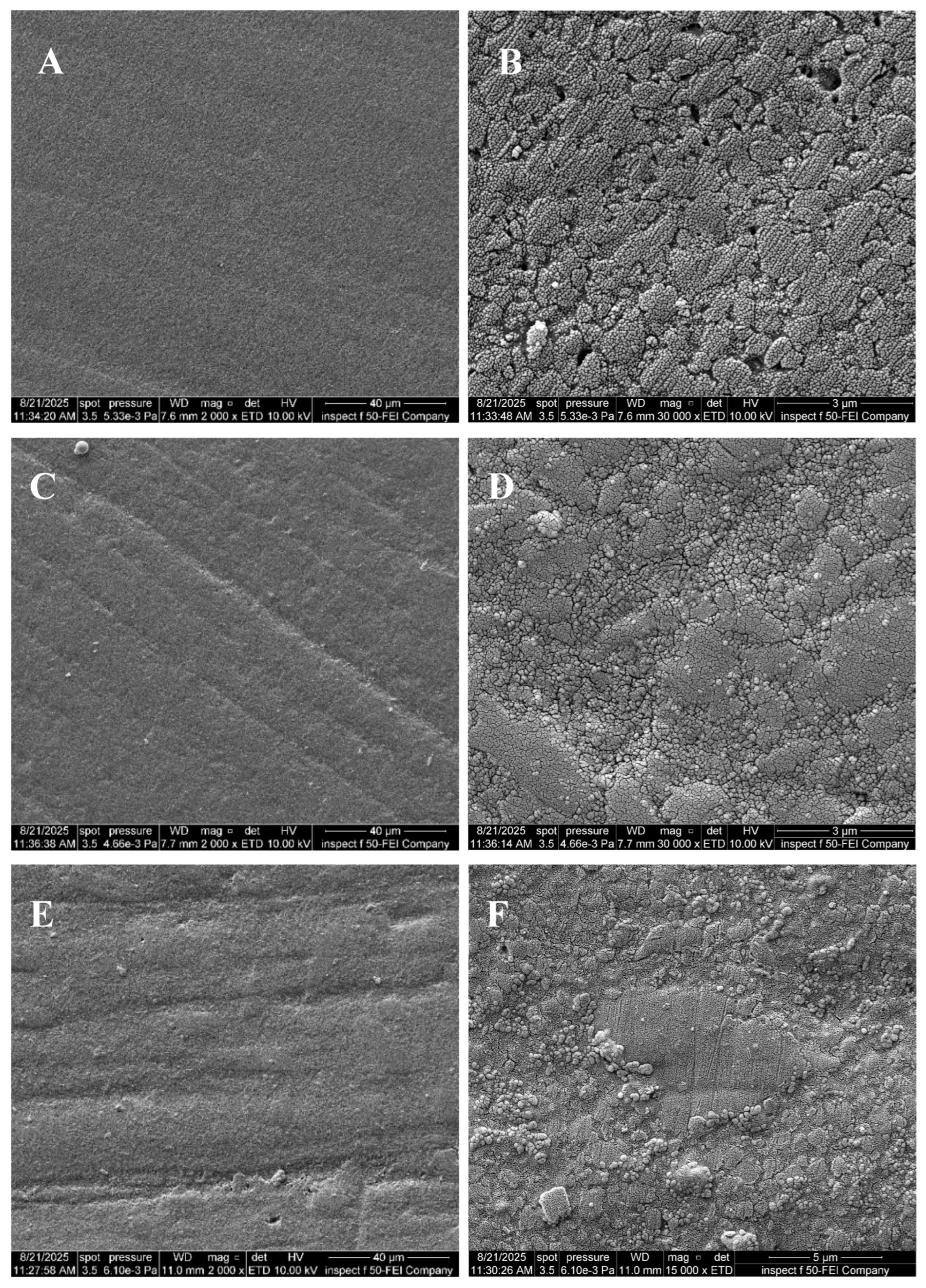 Coatings 15 01485 g009