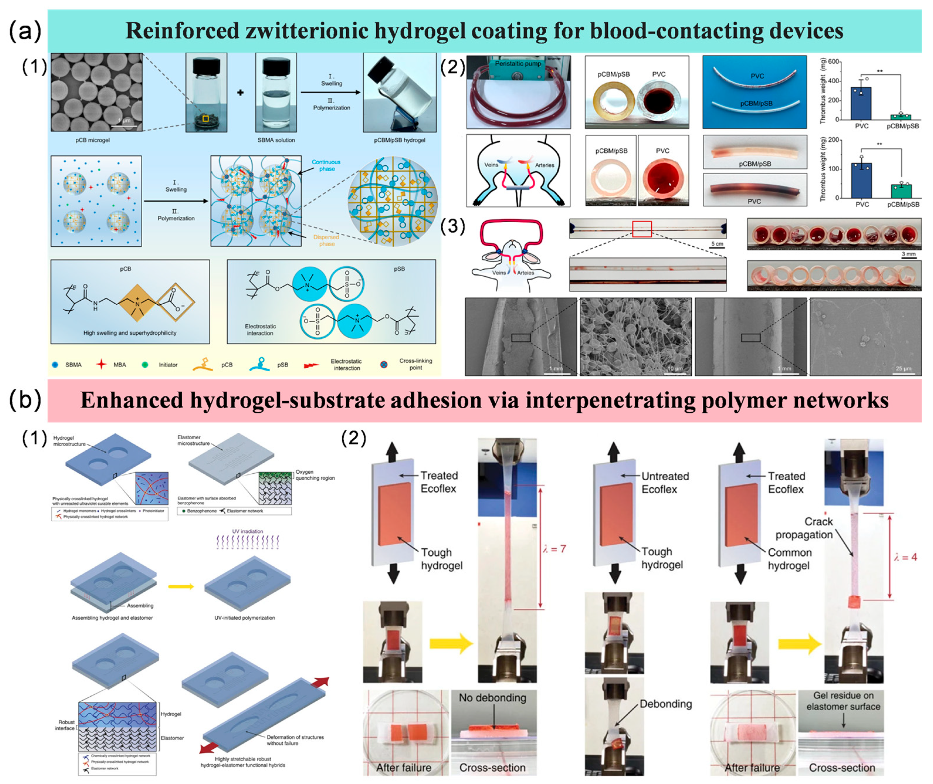 Coatings 15 01486 g003