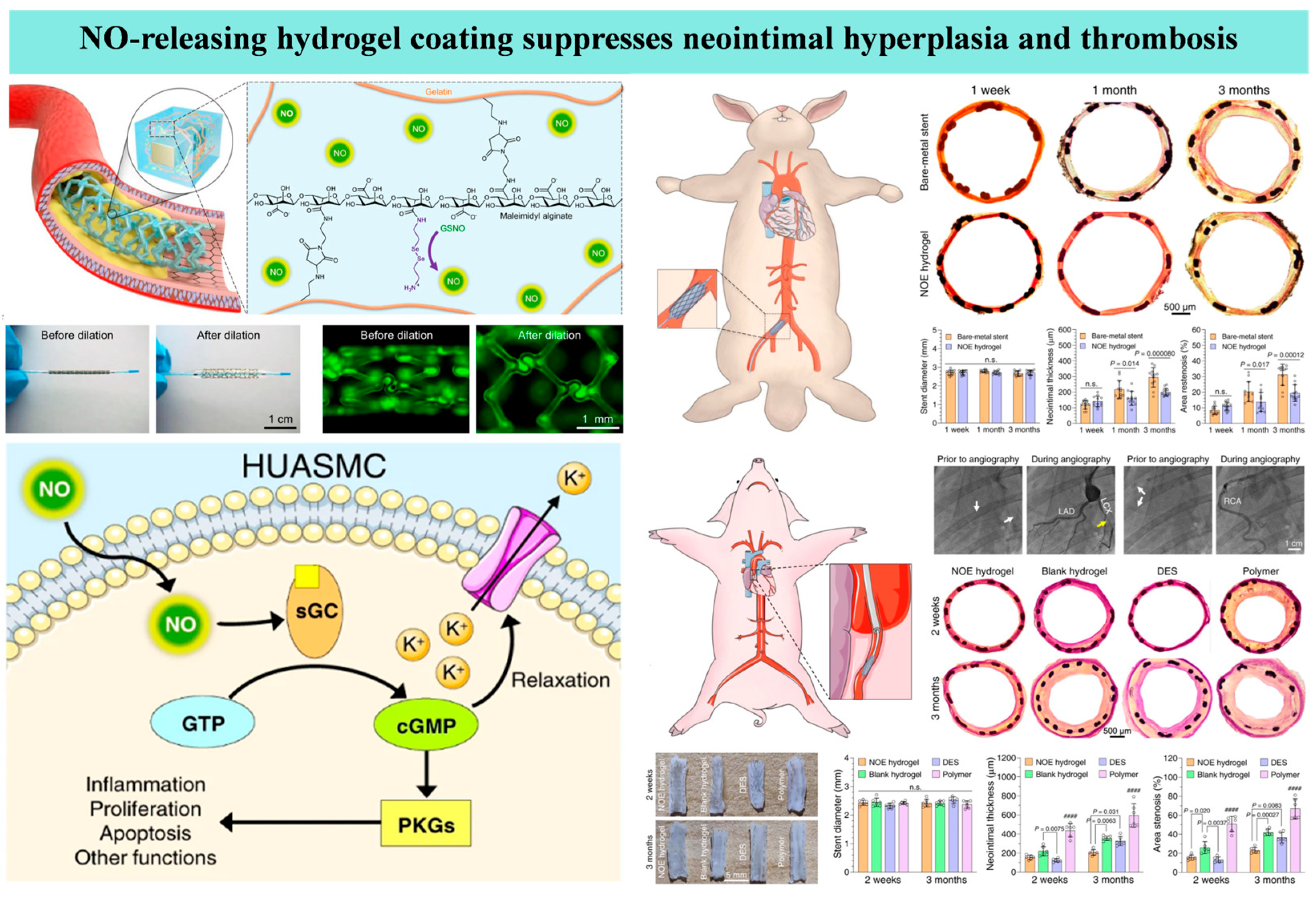Coatings 15 01486 g005