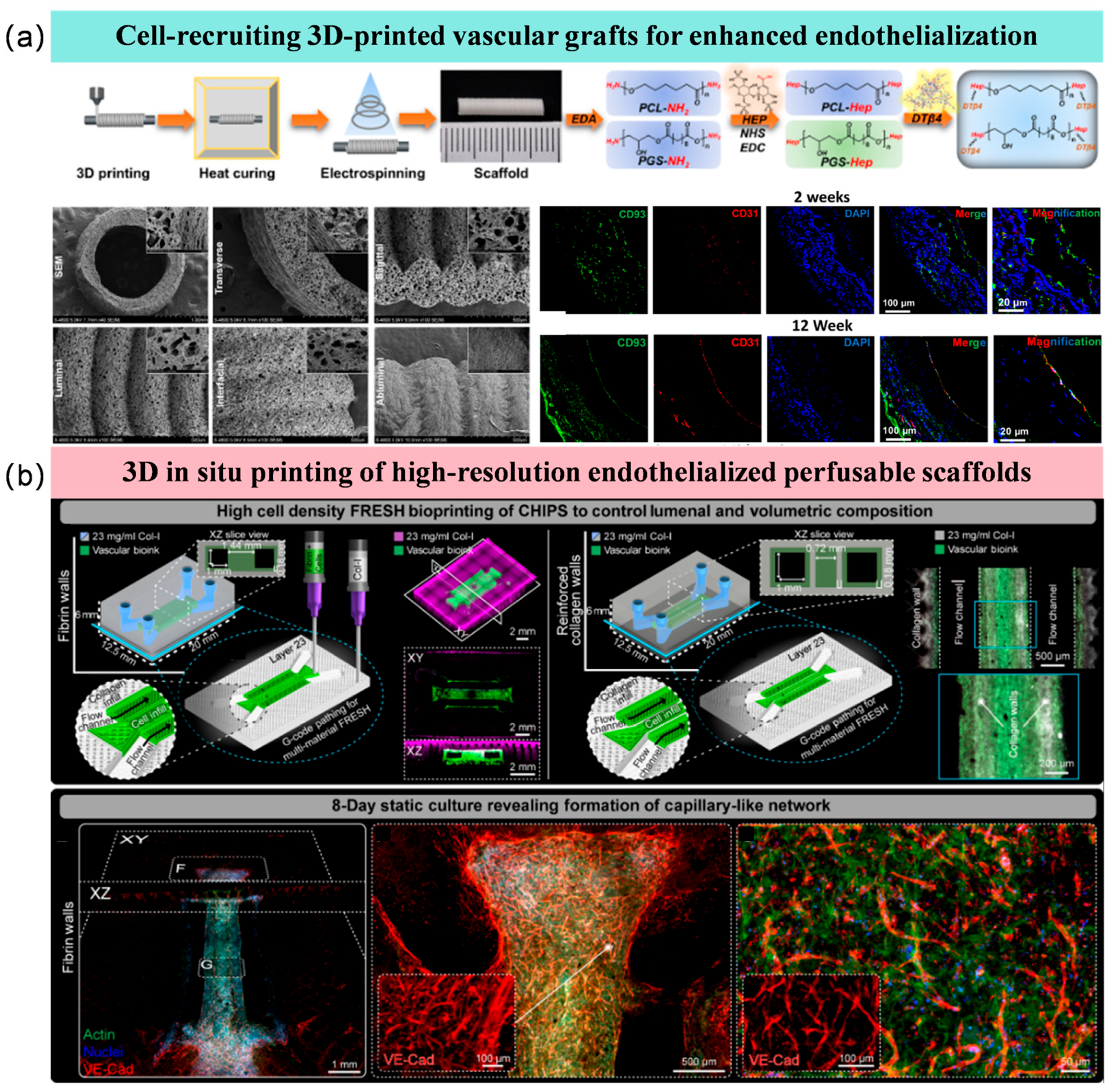 Coatings 15 01486 g006